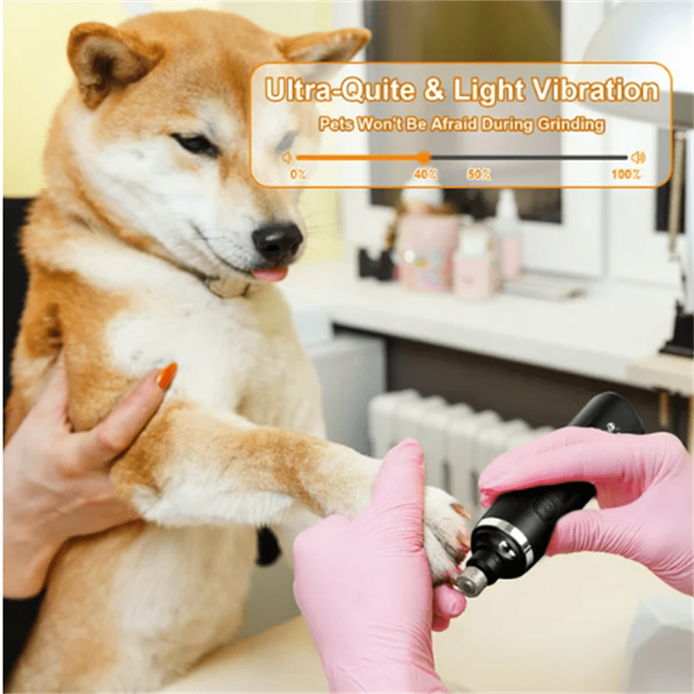 ZOUYUE Electric Dog Nail Grinder Professional, LED Lighting, Quiet Painless Safe Smooth Paw Grooming, Powerful 2 Speeds Clipper Trimmer (Black) 4 01f93ddd 2a24 4294 b033 ae91f3e26b3f.ac42abb9a24335285264dc0bcc2ca530 - easyishop.co.uk