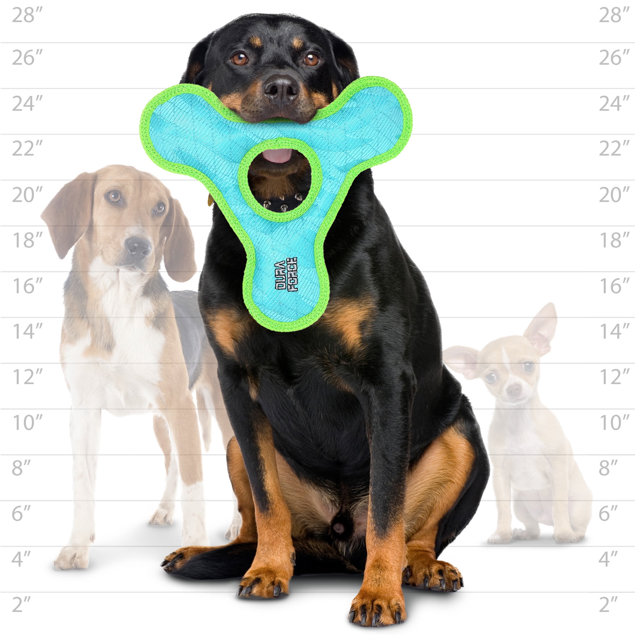 DuraForce TriangleRing Tiger Blue-Green Durable Woven Fiber Squeaky Dog Toy 5 09efa3ee c9b7 436f 893c 4a018ef2efb8.64069830ddb957ad3be8ac903606969a - easyishop.co.uk