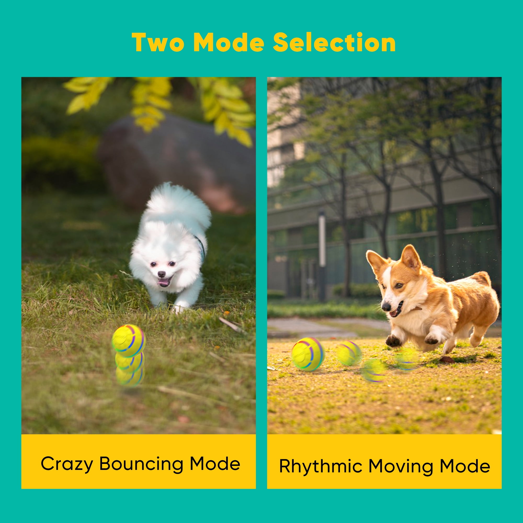 Petbobi Interactive Toy Dog Ball Moving Toys Ball for Dogs,Purple 16 0aef8a39 5fa4 401d 9600 c0522e987b13.777143ba8a8a22128cba039ce6e17787 - easyishop.co.uk