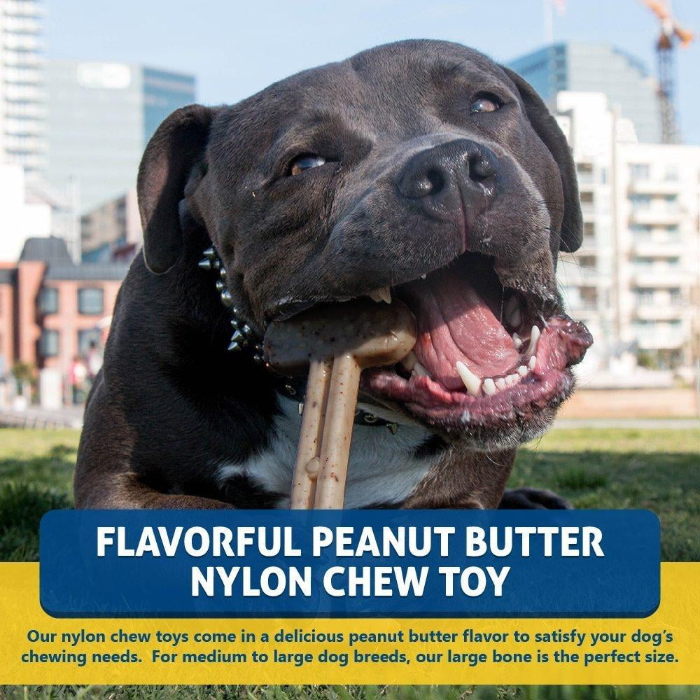 Bullibone Nylon Dog Chew Toy Nylon Bone - Improves Dental Hygiene, Easy to Grip Bottom, and Permeated with Flavor Bacon Small - 2 Pack 69 0cbf2ff8 1ec2 4eee bb32 fb816ca0bc18.2bead13f39b10254e650d6837fe48325 - easyishop.co.uk