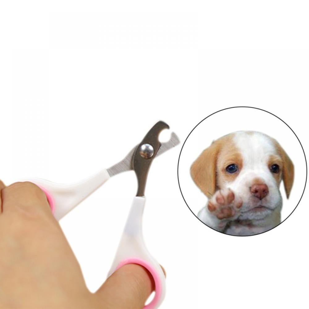 Dog Nail Clippers Easy to Use Dog Nail Toenail Clippers Professional Grooming Tool for Small Medium Dogs Cats 2 1808a1b7 3ea9 4e42 a33c 11da9b40585e.e7627184c8aaed107610149f2e69e4a2 - easyishop.co.uk