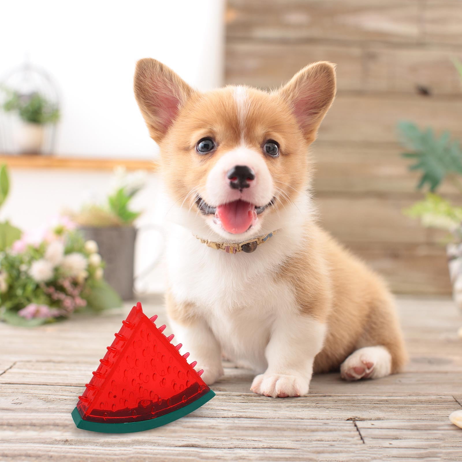 3 Colors Puppy Chew Tough Dog for Aggressive Chewers Large Breed Toys for Teething Non Big Dog for Large Dogs Spikey Dog Balls for Medium Large Small Dogs Durable Dog Toys for Aggressive Che Medium 24 187c36e0 8e1a 4fa6 aafc eaaea76e9ab1.bbe431a0fa1af52b44d38632043d19e0 - easyishop.co.uk