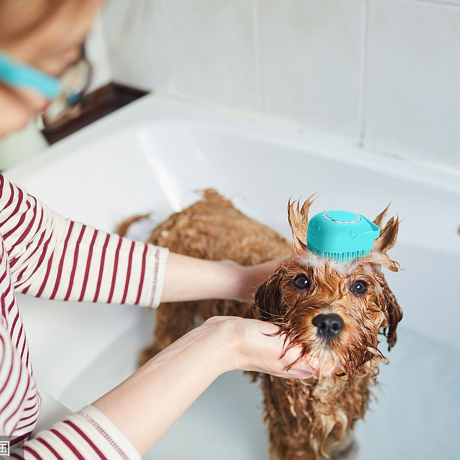 Kayannuo Christmas Clearance Soft Silicone Pet Take A Bath Rub Back And Shampoo Brush Shampoo Massage Dispenser Grooming Shower Brush 7 19e9501b 0dab 47db 9674 50aa242b8120.60b4c9efc5e677cfab3e351eca3a6b5c - easyishop.co.uk