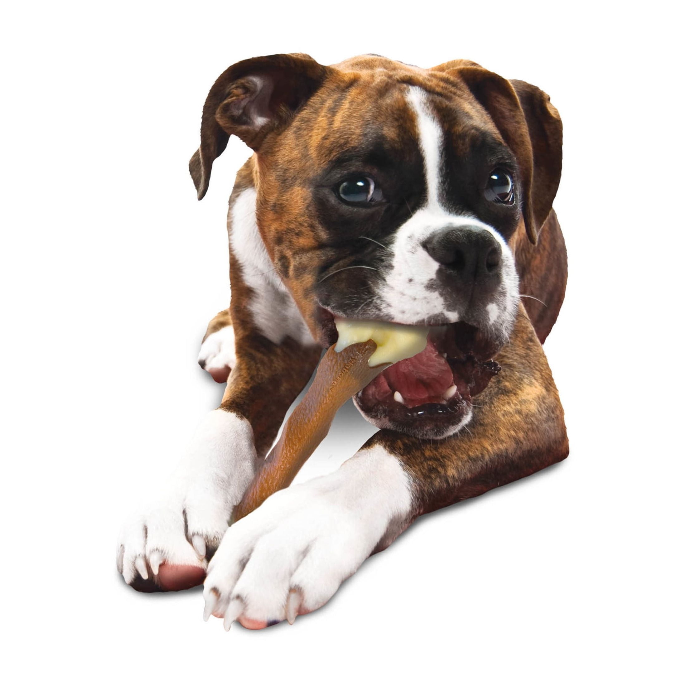 Nylabone Power Chew Femur Dog Bone Alternative Beef Large/Giant - Up to 50 lbs. (1 Count) 8 1a09a540 2c47 4180 b4df bace5fd3bf86.f21bafecf2cac348fc3716ca9cf4458a - easyishop.co.uk