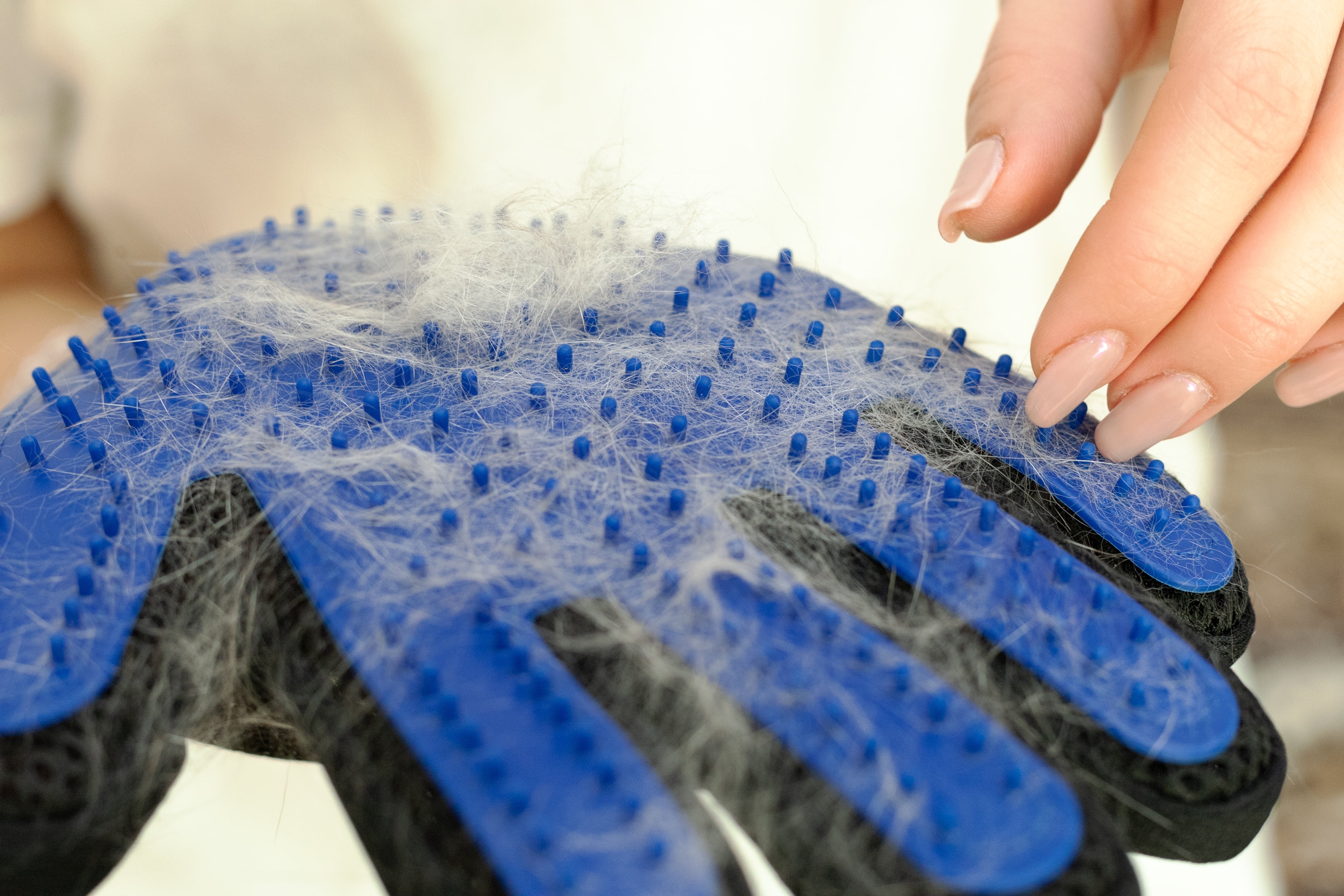 Pet Grooming Gloves (Blue) - Perfect Design for Grooming, Deshedding, Bathing & Massaging Your Dogs & Cats with Long/Short/Curly Fur 1 Pair (Right & Left) 3 1fd22f2f 0602 4d5a b1ae 819252a800a1.03cb56b35c773bd14d48bfdfab20251c - easyishop.co.uk