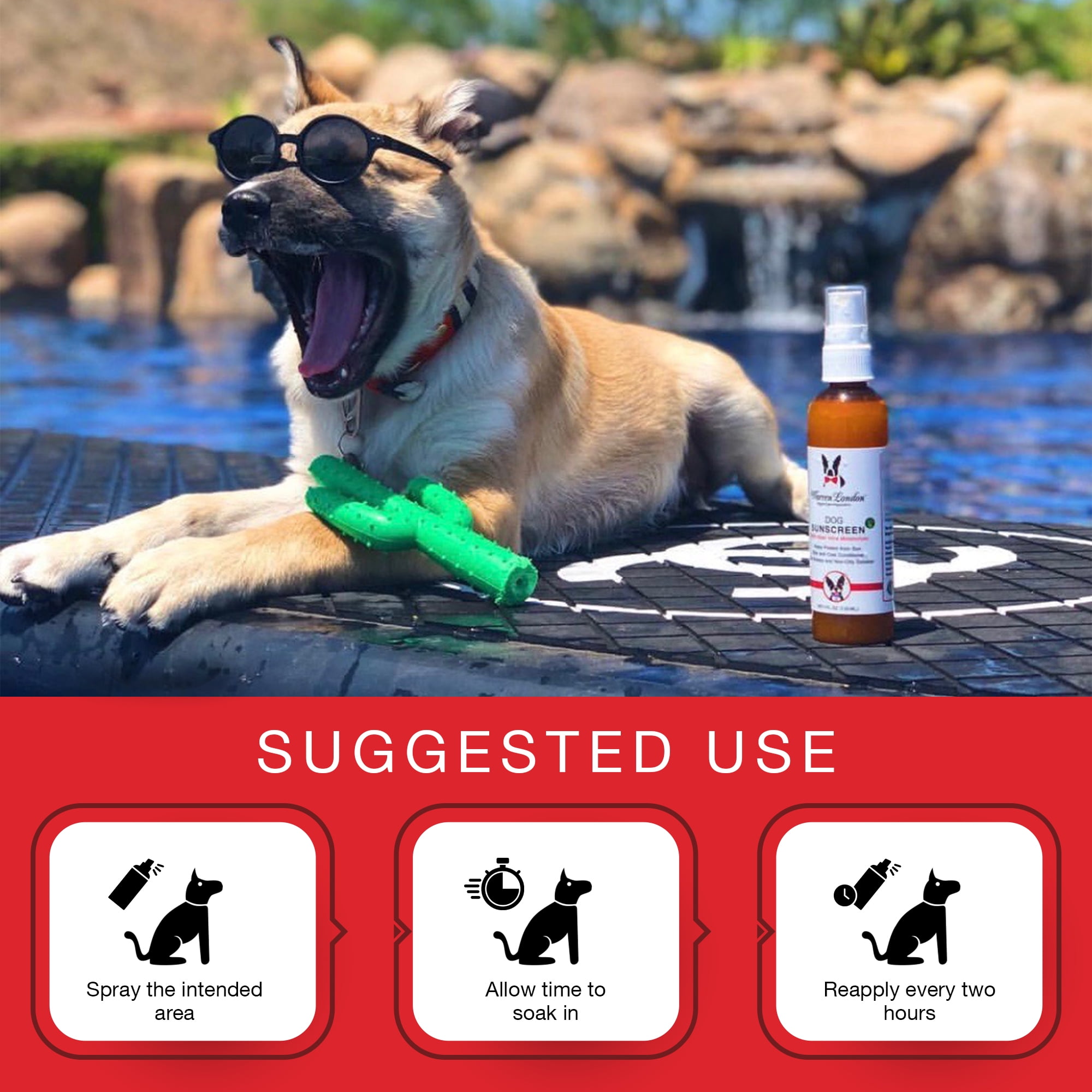 Warren London Dog Sunscreen | Aloe Vera Leave In Conditioner with Sun Protection for Dogs, Puppies, & Pets 3 212741d0 94d9 401f a20f 8c1dd70d87c0.1b36d323a3ed6fa551c7e6ad42cd776e - easyishop.co.uk