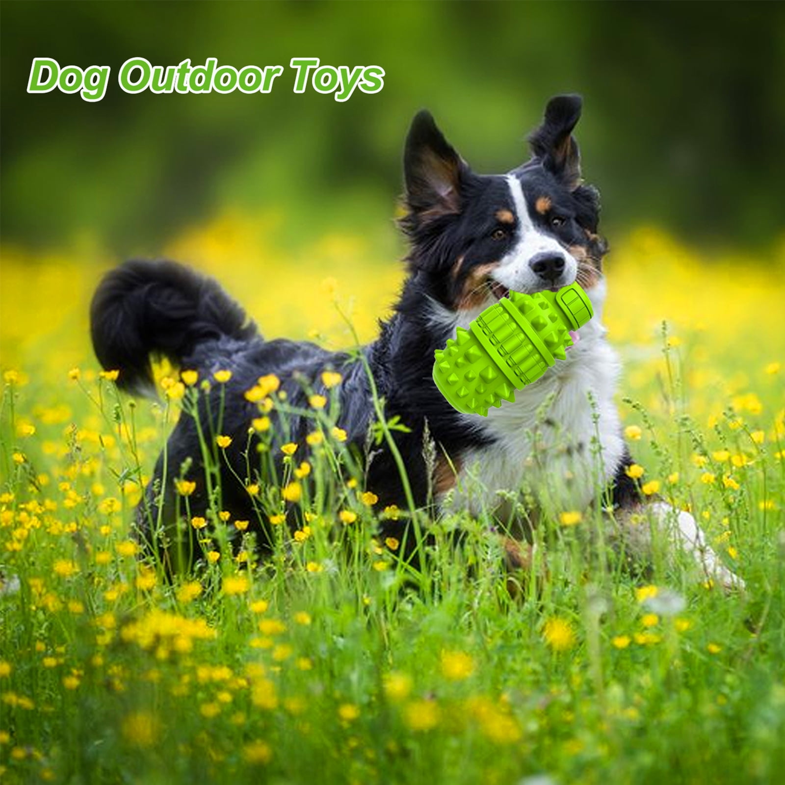 URRU Dog Toy for Aggressive Chewers, Indestructible Dog Chew Toys Squeaky , Interactive Tough Durable for Large Breed(Green,Large) 7 239e67fa 2e2e 4fd0 aee0 3e0cc1d577b0.f7d5ba4659ab0d55909360e5e59dc109 - easyishop.co.uk