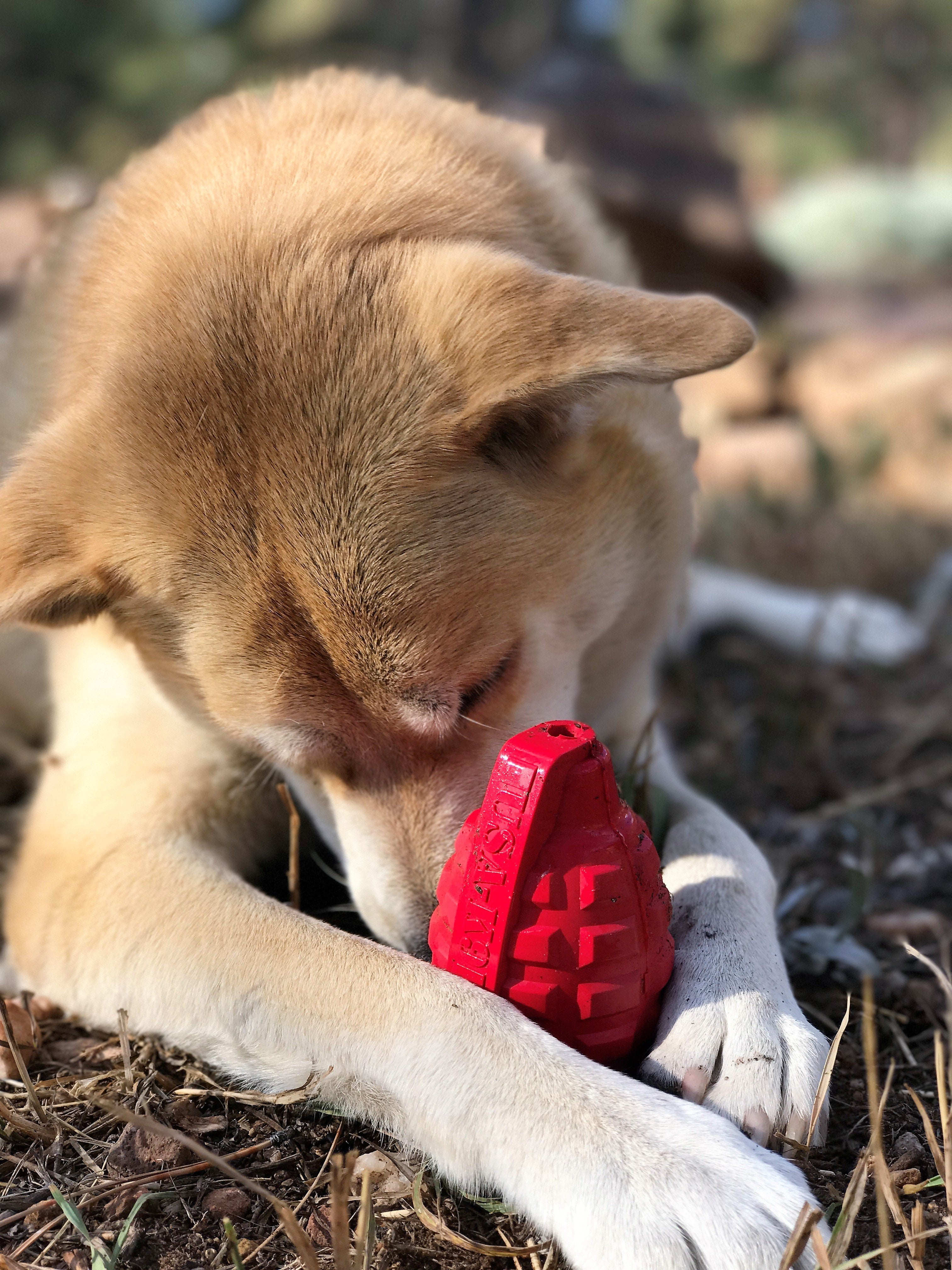 USA-K9 by SodaPup - Grenade Natural Rubber Chew Toy - Treat Dispenser - Slow Feeder - Extra Large - Pink 16 273bfa07 5d3a 4d4b af32 14fd6111f3b4.d2052a28a713d7c413db99dc8c475306 - easyishop.co.uk