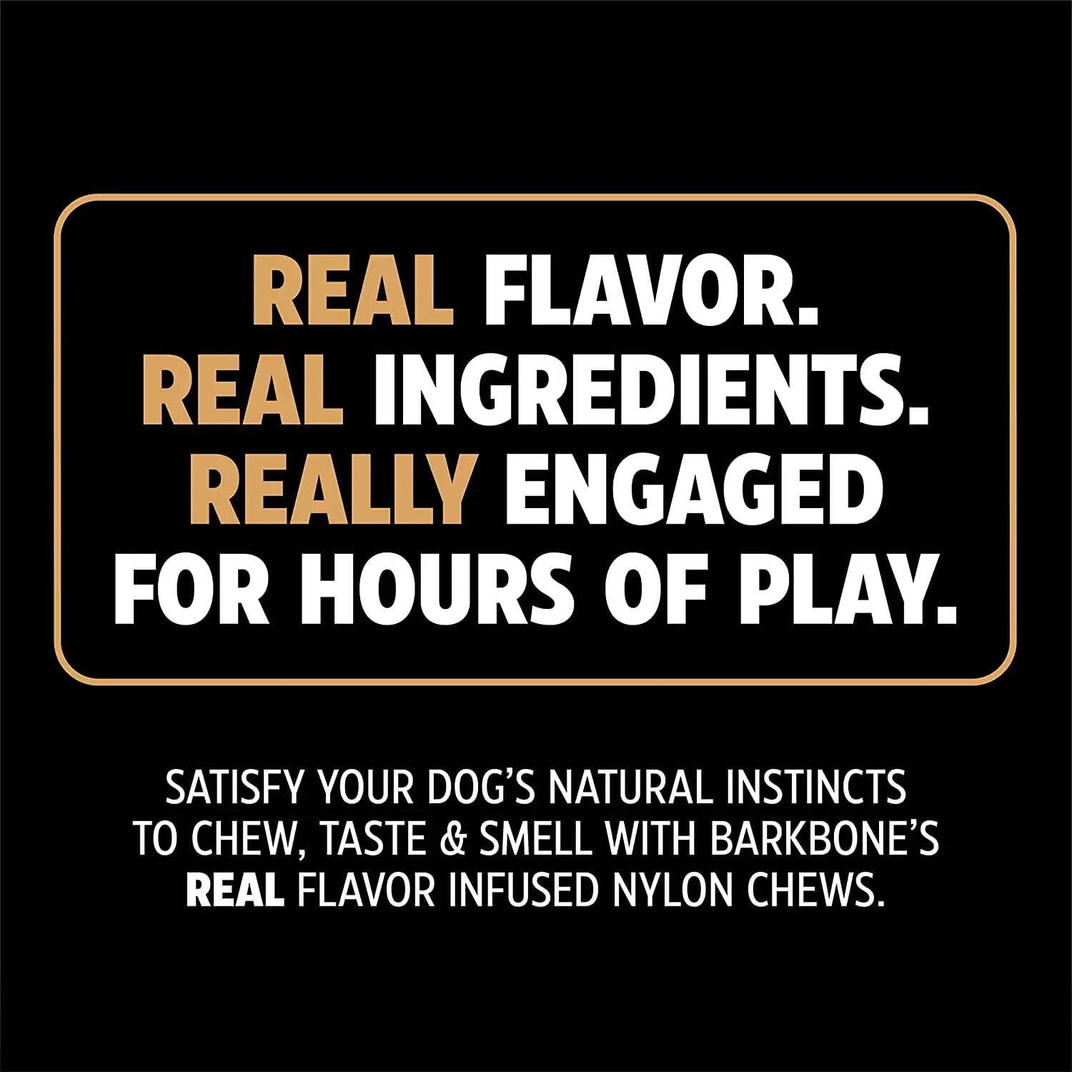 Pet Qwerks BarkBone Natural Instincts Bacon Infused Dinosaur Nylon Bone Dog Chew Toys for Aggressive Chewers - Real Bacon, Large 9 27525ce8 52a9 4785 b427 ca4b16d63bda.c7f68902e78ace387b2a1e4ef88e9ac7 - easyishop.co.uk