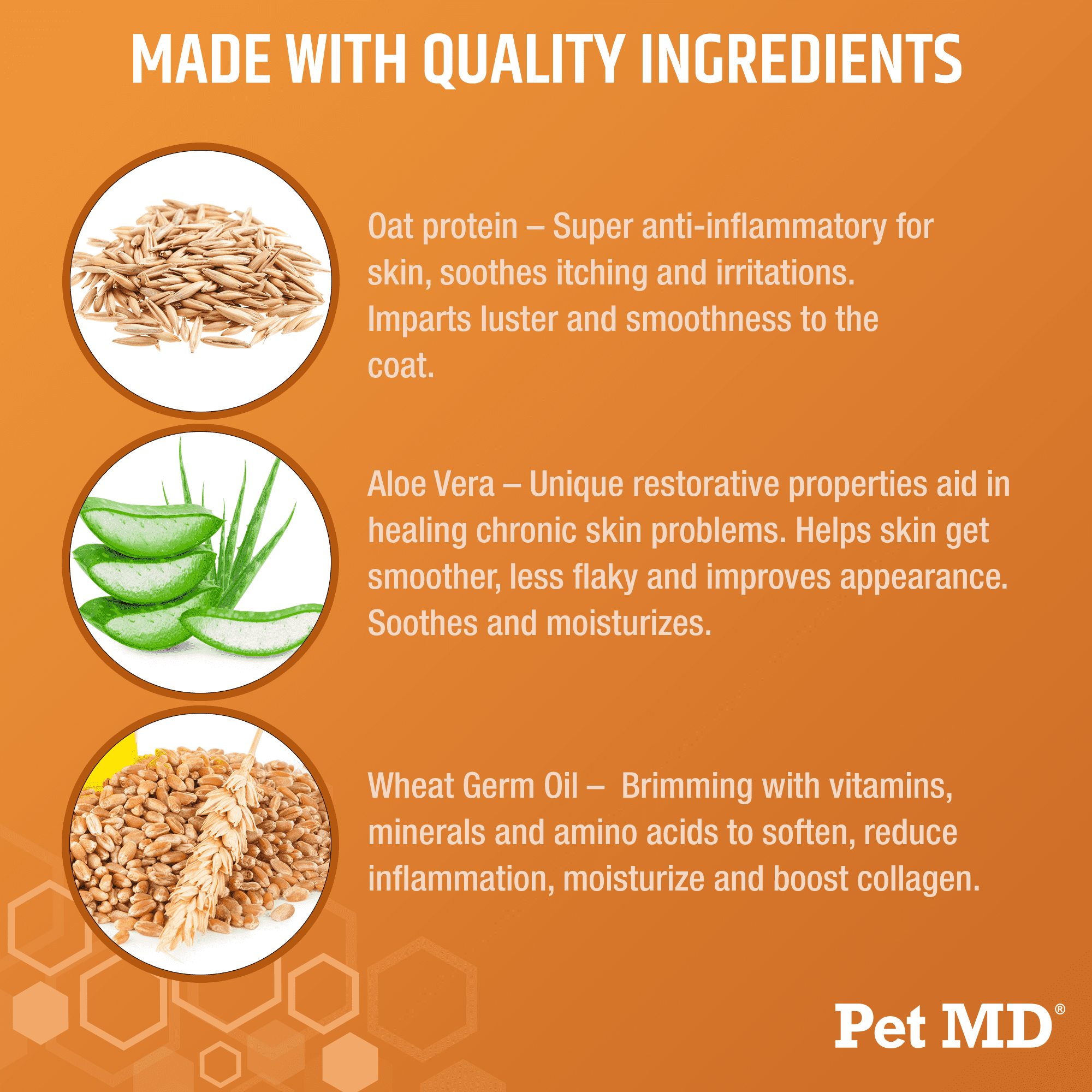 Pet MD Oatmeal & Aloe Shampoo for Dogs and Cats - Nourishing Anti Itch for Sensitive Dry Skin & Flaking - Professional Grooming & Moisturizing Dog Shampoo Gallon 4 2817e1e4 85e5 4dde 997b 86de10de5459.7fdde902d53c8ade8d76c4be76563a31 - easyishop.co.uk