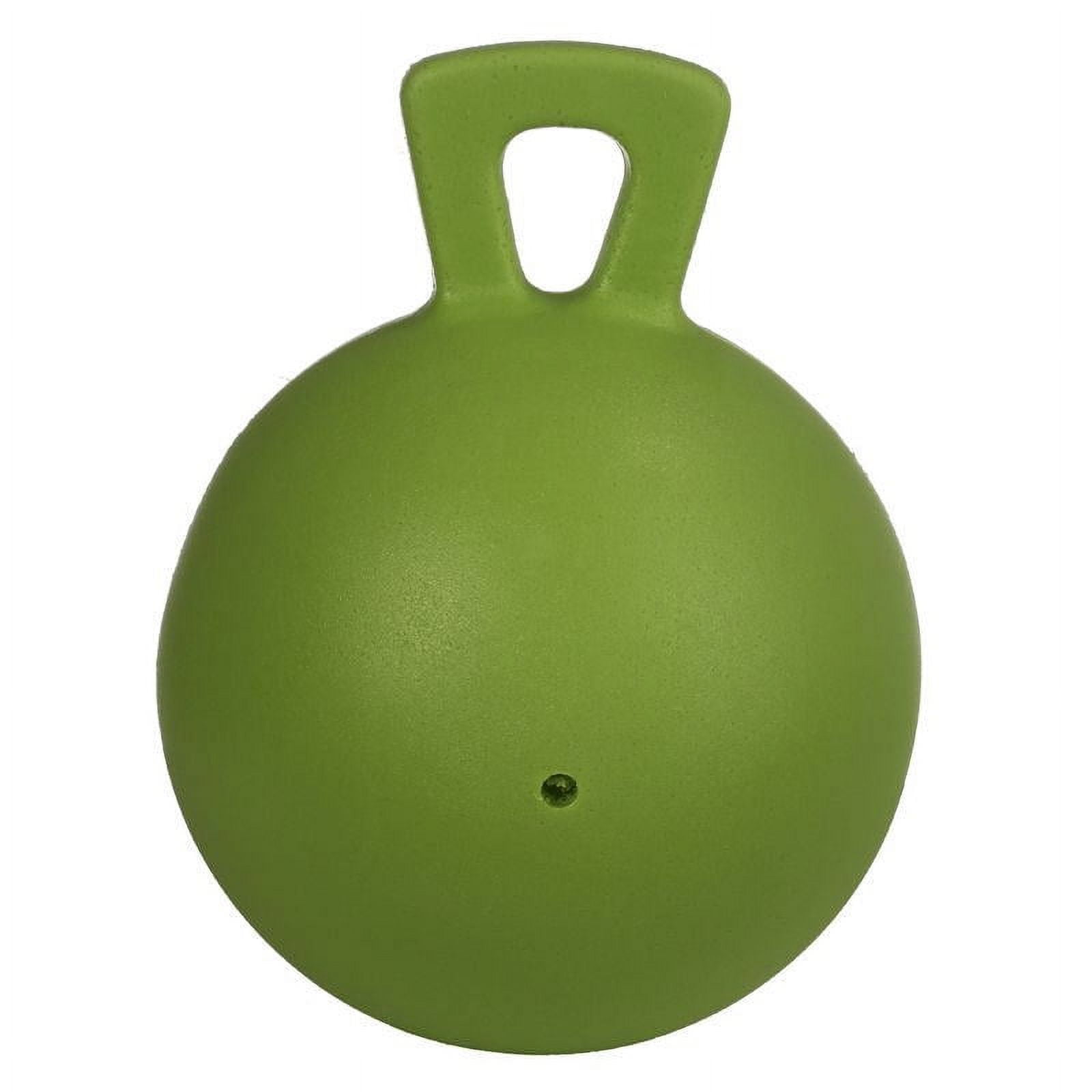 Jolly Pets 410P Tug-n-Toss Horse Jolly Ball™ for Dogs/Horses, 10", Peppermint 2 2ade0026 43cb 4181 9c2d 0a03a1bfc768.4a88a91ee9e0dbd0eb5589407cae7a8a - easyishop.co.uk