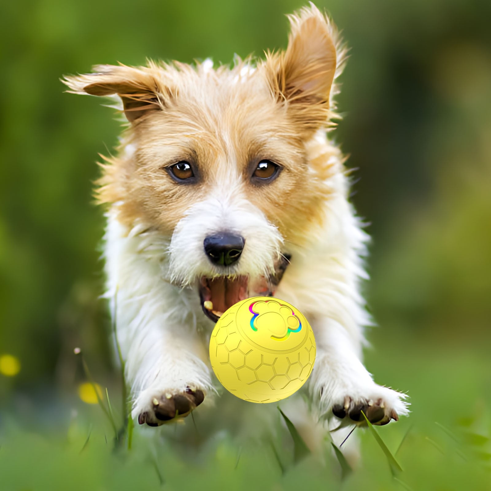 Qinghuai Peppy Pet Ball for Dogs, Dog Interactive Toys Dog Ball,Motion Activate Rolling Ball for Puppy/Small Dogs, Automatic Moving Dog Toy,USB Rechargeable 3 2c3c0ec7 f156 49c8 ba48 1ab048f2e307.de4d4ebef6f81099aacb3013d2981e91 - easyishop.co.uk