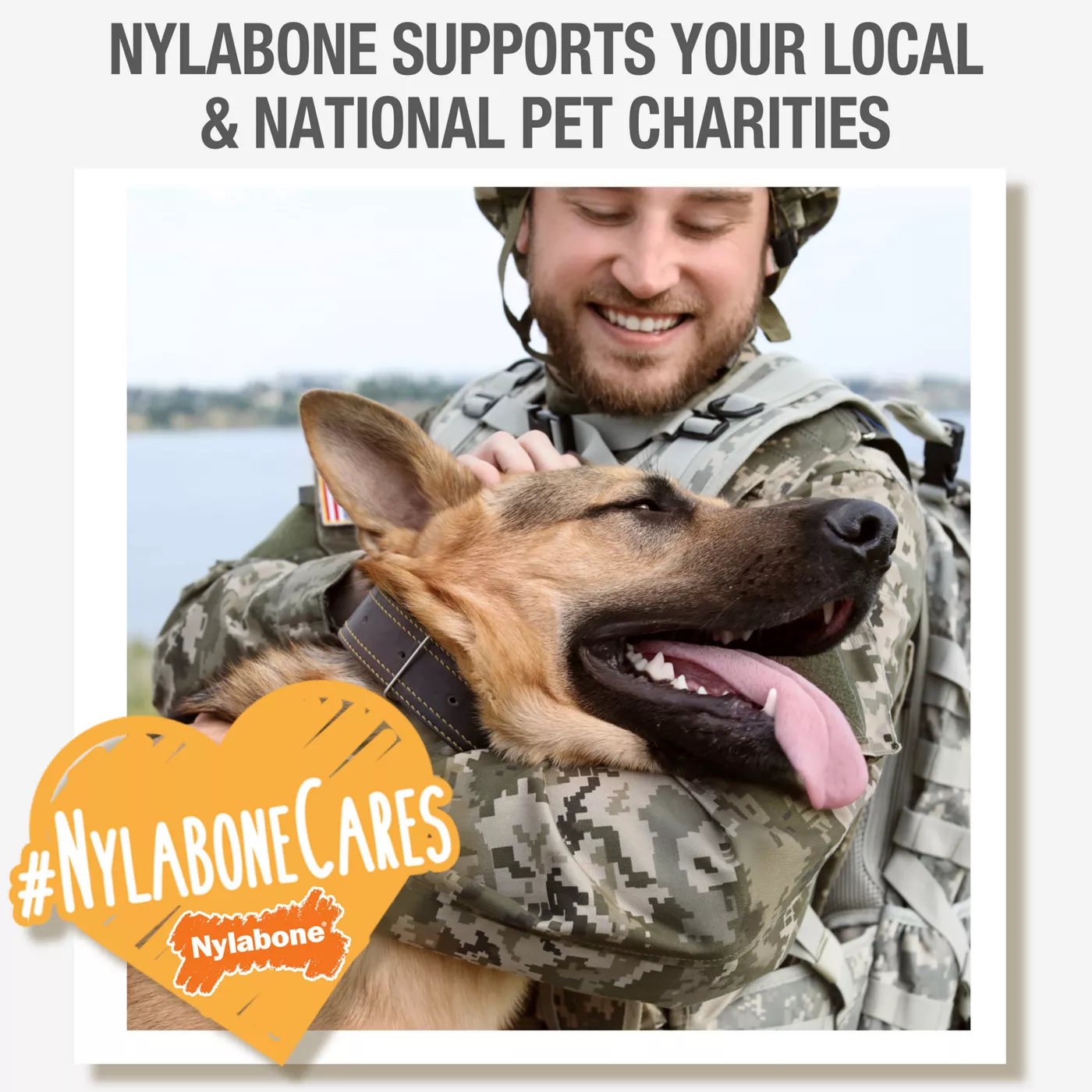 Nylabone® Puppy Teething Keys Chew Dog Toy – Soft Chew Toy for Teething Puppies 5 318da23c a940 400d b132 5f2fb54627fc.ea8a02b902d06bb561fc8c51ffbdad8c - easyishop.co.uk