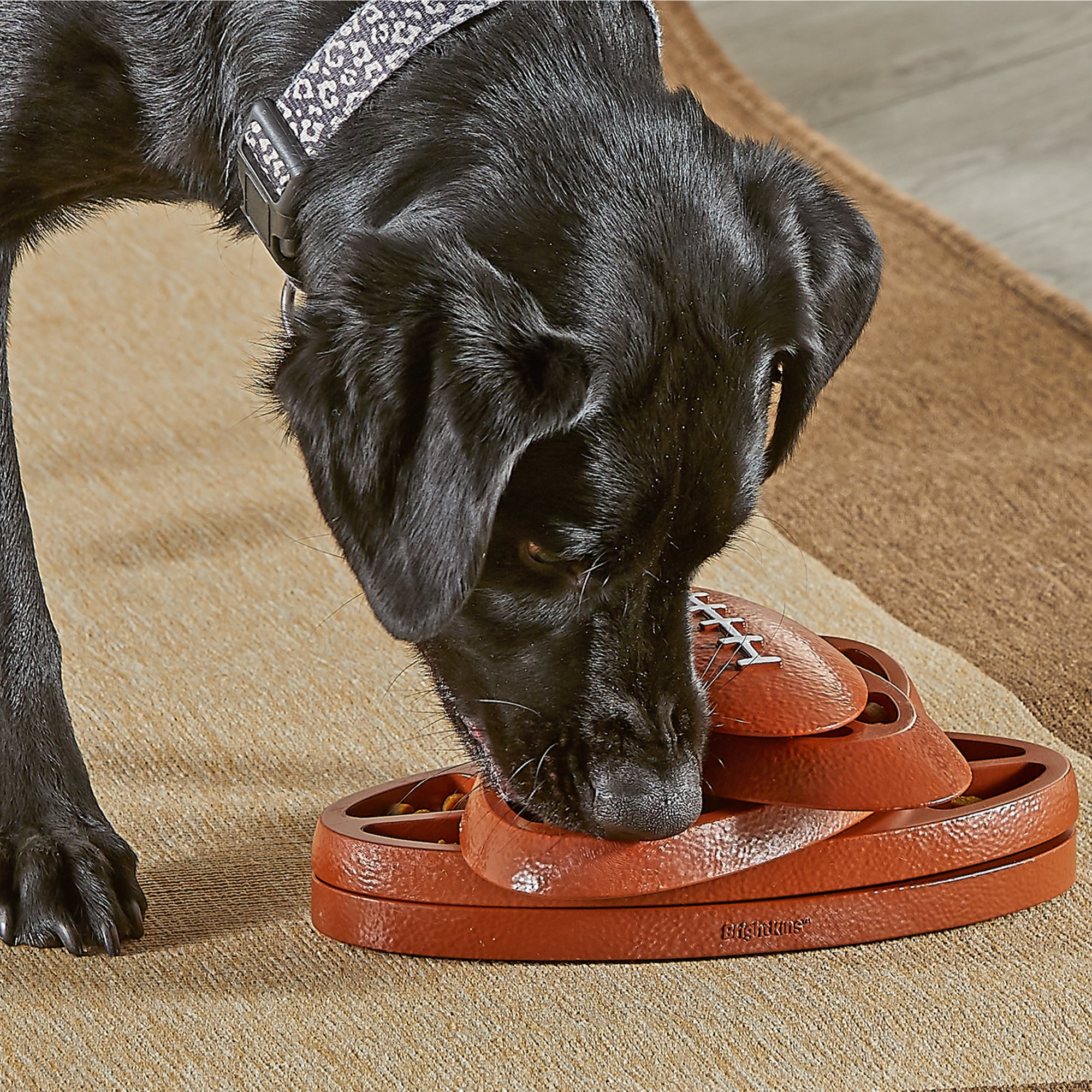 Brightkins Touchdown Time! Dog Toy Treat Dispenser, Interactive Football Puzzle for Puppy Enrichment Training & Birthdays 4 34082d1f ee7f 4a70 b5c1 cd5f857cd709.7ab43ddd75007e9ea9de73603e08186f - easyishop.co.uk