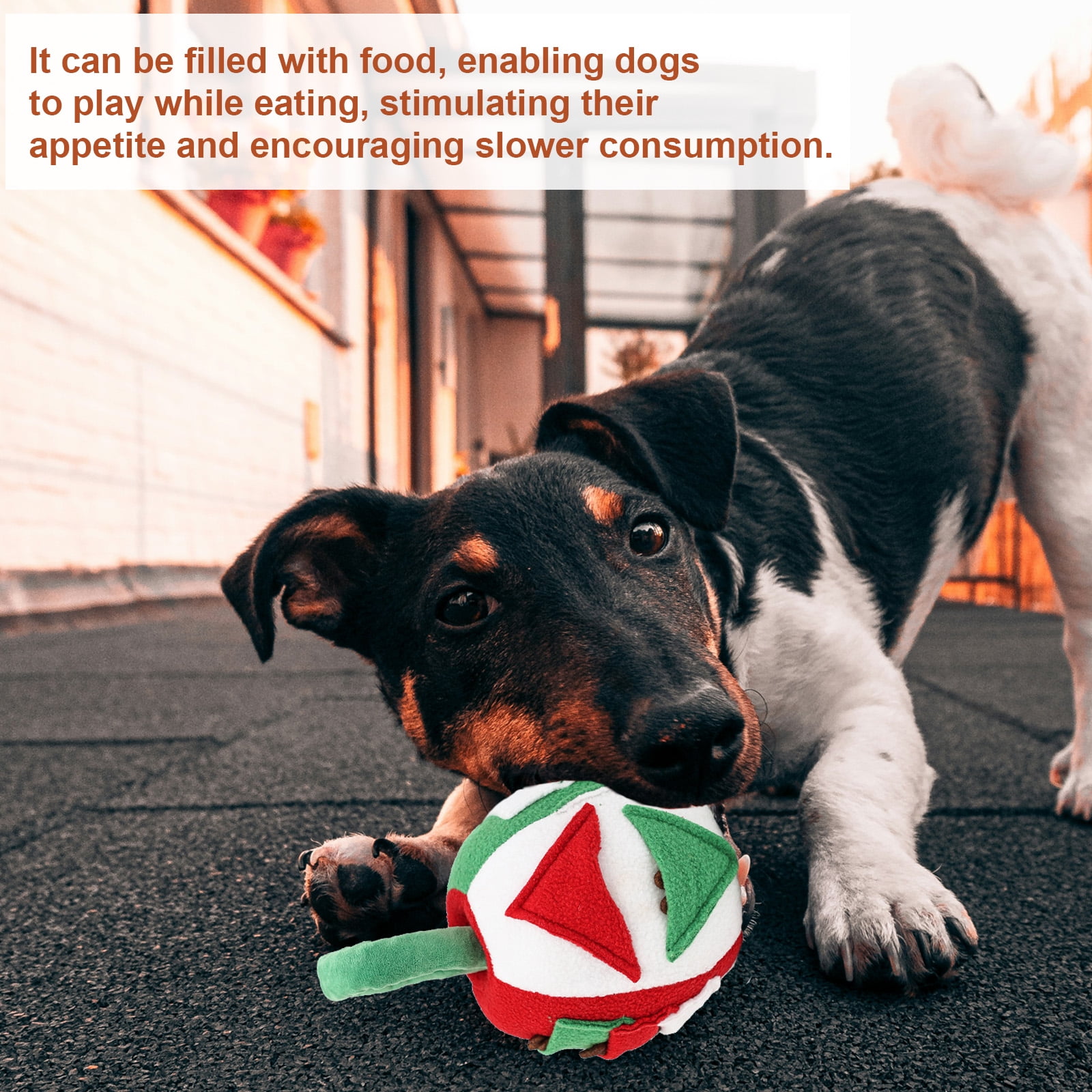 Duuclume Dog Puzzle Toy Treat Dispensing Chew Toys for Mind Stimulating,Hide and Seek Toys for Dogs 5 37b432ee 4210 4090 955e 3672b4ce880a.d332f7f1d190f33ffc258c319a2aba13 - easyishop.co.uk