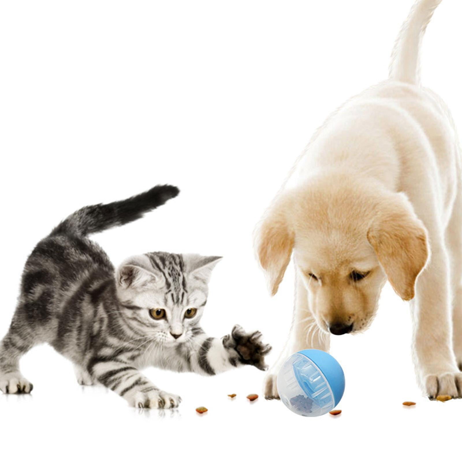 Ball Pet Slow Feeder Food Dispensing Adjustable Dog Puzzles Balls Interactive Dog Cat Toy for Small to Medium Dogs and Cats Blue 9 389d6efe ab25 4857 a531 1a4c4e699553.e2ce23dcff8d27d66e8fc7c77c3943d5 - easyishop.co.uk