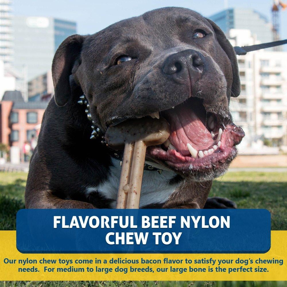 Bullibone Nylon Dog Chew Toy Nylon Bone - Improves Dental Hygiene, Easy to Grip Bottom, and Permeated with Flavor Bacon Small - 2 Pack 41 3b6ec9da cd01 4dfe 968e 8649a1f7debe.1a02f48ebd8f8f40ba4ddffee8d88e39 - easyishop.co.uk