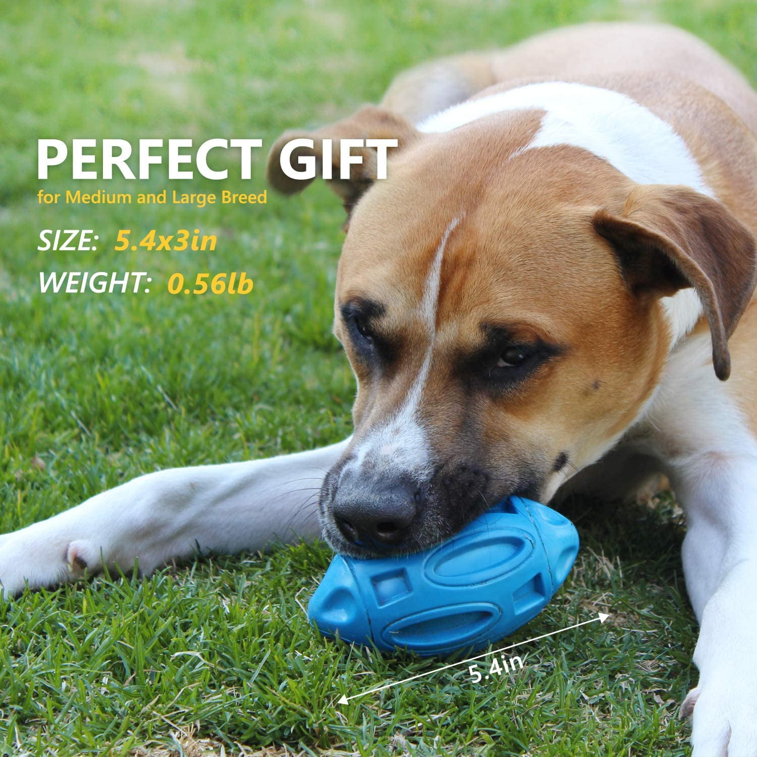 Squeaky Dog Ball Toys for Aggressive Chewers Indestructible Durable Tough Big Dogs Chew Toys Floatable Rubber Interactive Pet Toys for Medium &Large Breeds Dog, Green 11 3b9651e8 ddcb 4a99 ae94 2eea8d7e1973.3b5d05c5f5a130b804bd6bfada1556e8 - easyishop.co.uk
