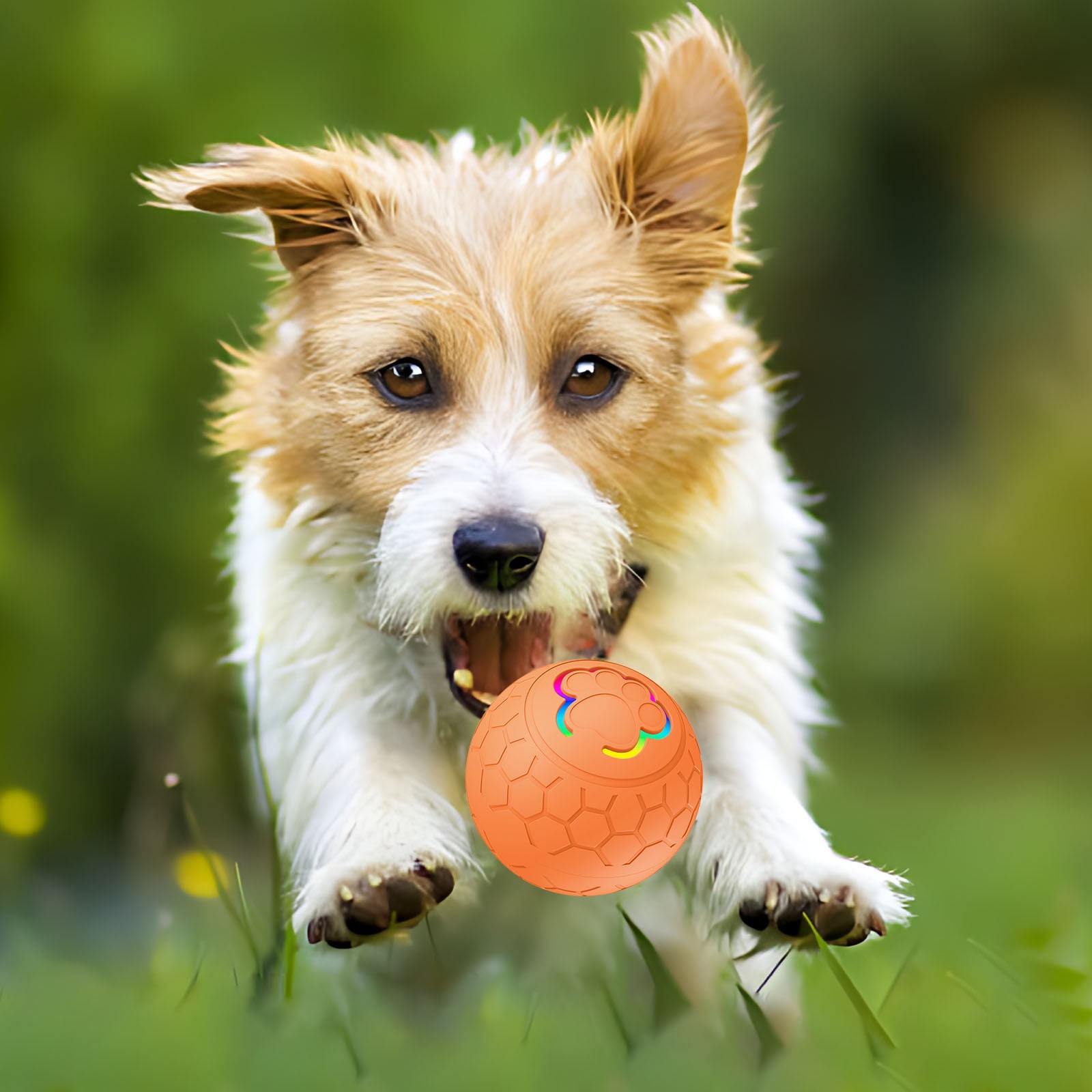 Qinghuai Peppy Pet Ball for Dogs, Dog Interactive Toys Dog Ball,Motion Activate Rolling Ball for Puppy/Small Dogs, Automatic Moving Dog Toy,USB Rechargeable 15 3cdad926 fdc6 4645 9d0d a4bac8429f5c.e81c7582c3d1474631551cfd7a0b4cc4 - easyishop.co.uk