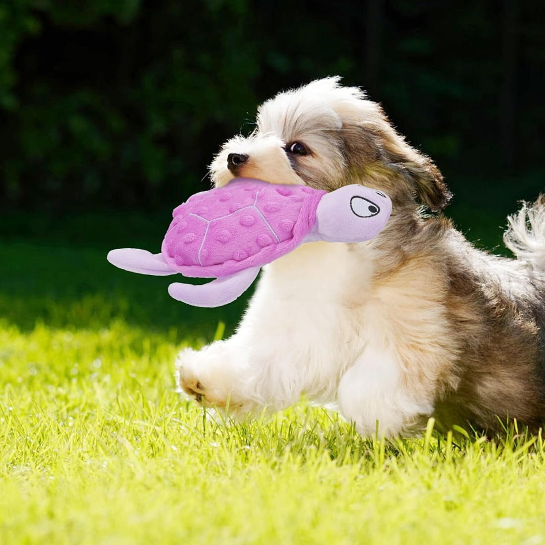 Tingzi Squeaky Sea Turtle Plush Dog Toy - Durable, No Stuffing, Interactive Chew Toy for Small Dogs - Relieve Anxiety, Teething, and Keep Them Busy for Puppy(Purple) 18 41263ab1 92a2 4d52 a95b e311bd0c821a.73c96fa84d9b0bce79d2f291616b917f - easyishop.co.uk
