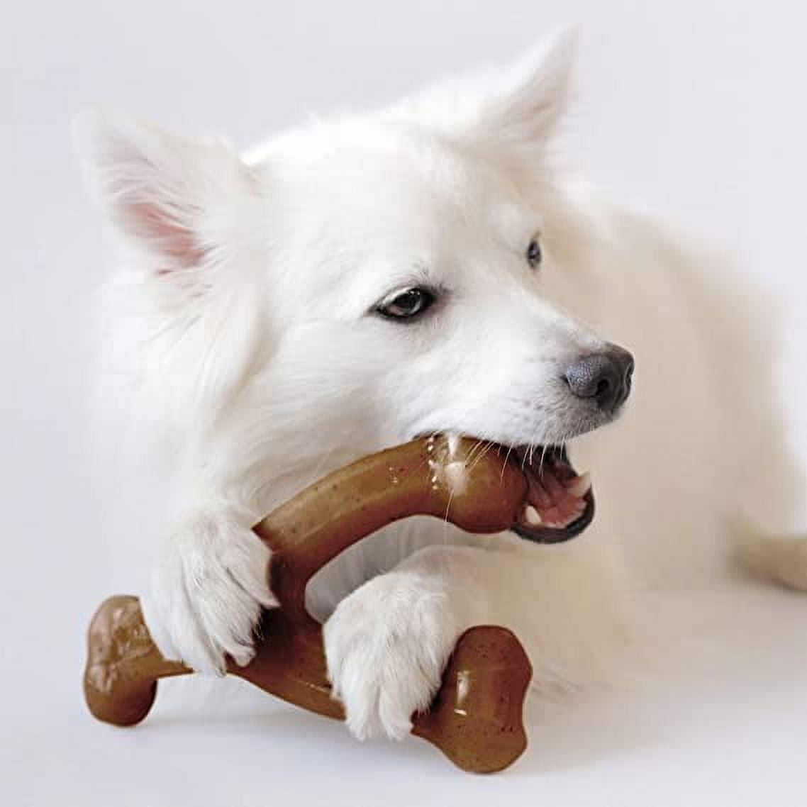 Benebone Wishbone Durable Dog Chew Toy for Aggressive Chewers, Real Flavors, Made in USA 2 41a90590 7c1a 4275 8126 a3b48c943982.ba15945a4dbb17a288588c0366c16667 - easyishop.co.uk