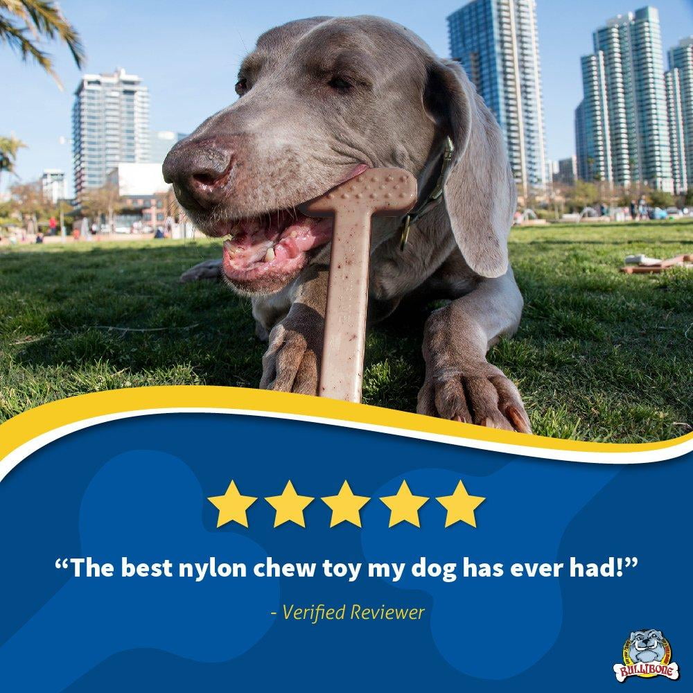 Bullibone Nylon Dog Chew Toy Nylon Bone - Improves Dental Hygiene, Easy to Grip Bottom, and Permeated with Flavor Bacon Small - 2 Pack 16 43f312fa 45a0 4637 98ce 18e1f4f4bede.7b6a9d5cee0d04b839f86e0306ee31e4 - easyishop.co.uk