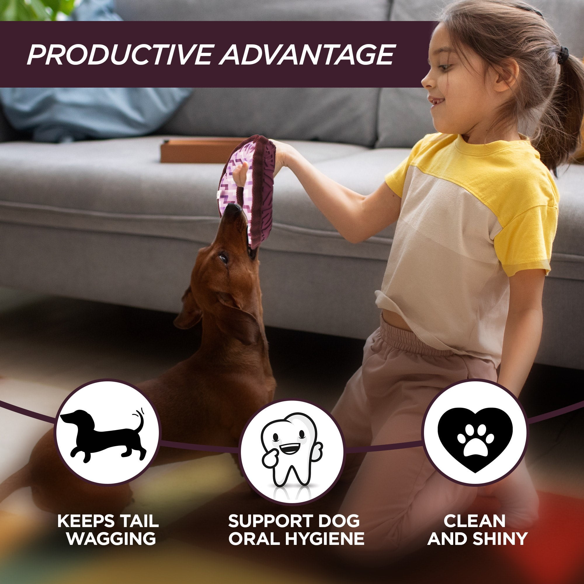 3-Piece Dog Toy Set by Kensie: Squeaky Ring Toy, Squeaky Tug-It Toy, & Squeaky Fetch Stick | Eco-Aware Chew and Fetch Toys Loved By All Active Dogs 4 4456ad35 4b80 4b2c 8db9 99fd16cb3b3b.6e30977e8c92d357161a35d29b990e82 - easyishop.co.uk