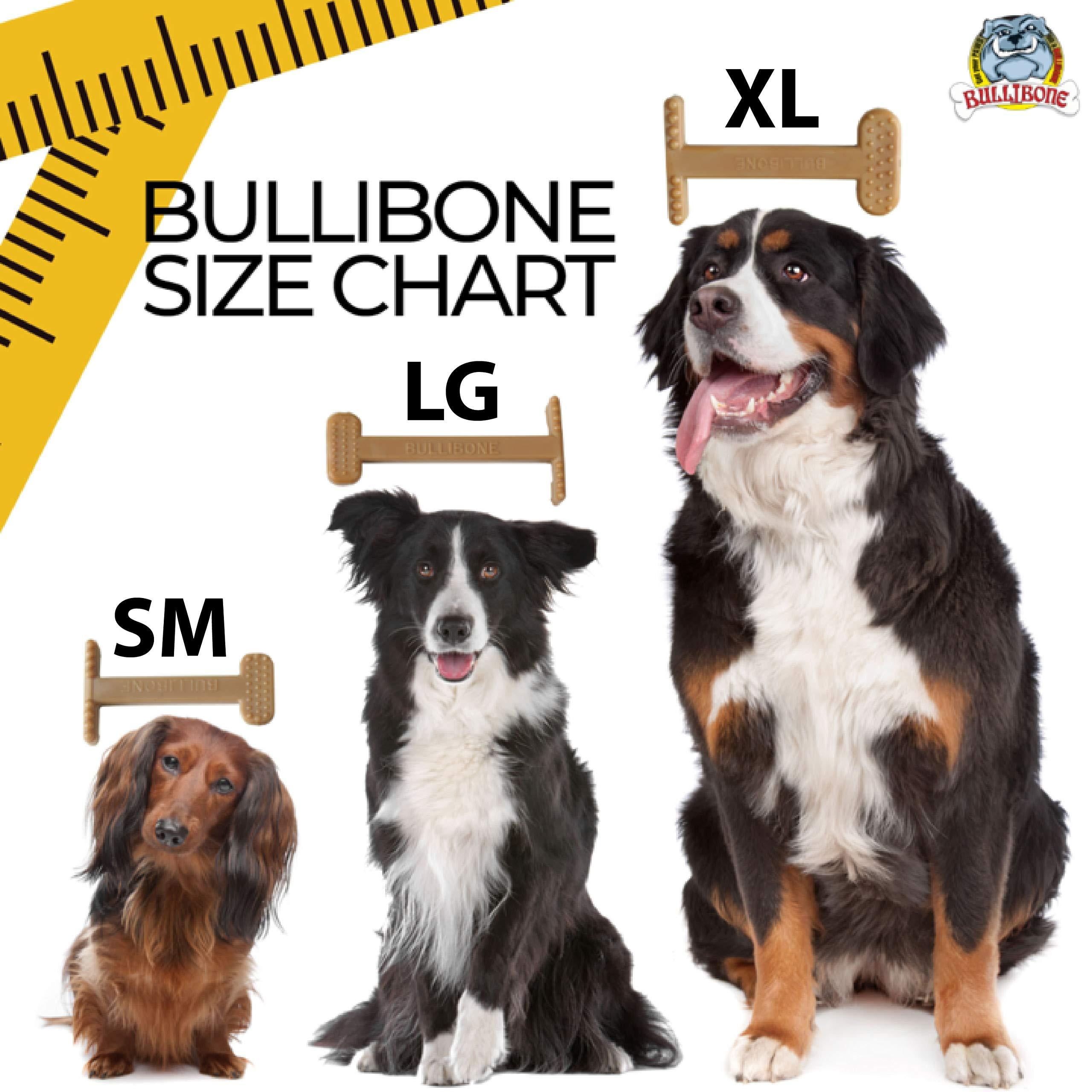 Bullibone Nylon Dog Chew Toy Nylon Bone - Improves Dental Hygiene, Easy to Grip Bottom, and Permeated with Flavor Bacon Small - 2 Pack 6 4507a17d 16a9 4be5 876d cb7ded2eb9ca 1.50b0342eb1cd7b8d5c62b518f5299bc3 - easyishop.co.uk