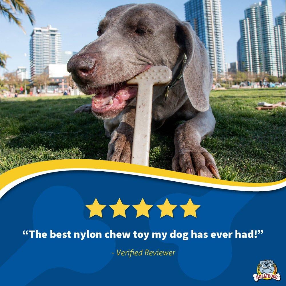 Bullibone Nylon Dog Chew Toy Nylon Bone - Improves Dental Hygiene, Easy to Grip Bottom, and Permeated with Flavor Bacon Small - 2 Pack 43 494cc83b 8b90 42b1 af68 76d51d329a8c.8f8ecce7a03daecb82975efc87ed711e - easyishop.co.uk