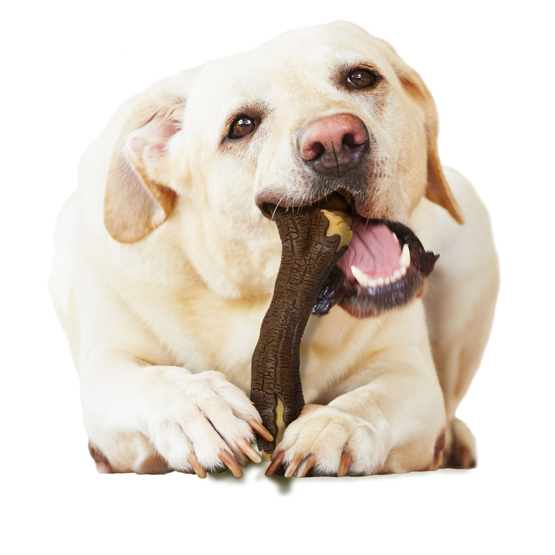 Nylabone Strong Chew Real Wood Dog Stick Toy Hickory Smoked Beef X-Large/Souper - 50+ lbs. (1 Count) 6 4979e449 f9ee 42ec add0 289f23c7d85d.8df843c311e6a4877ac0dc4a7549d9a9 - easyishop.co.uk