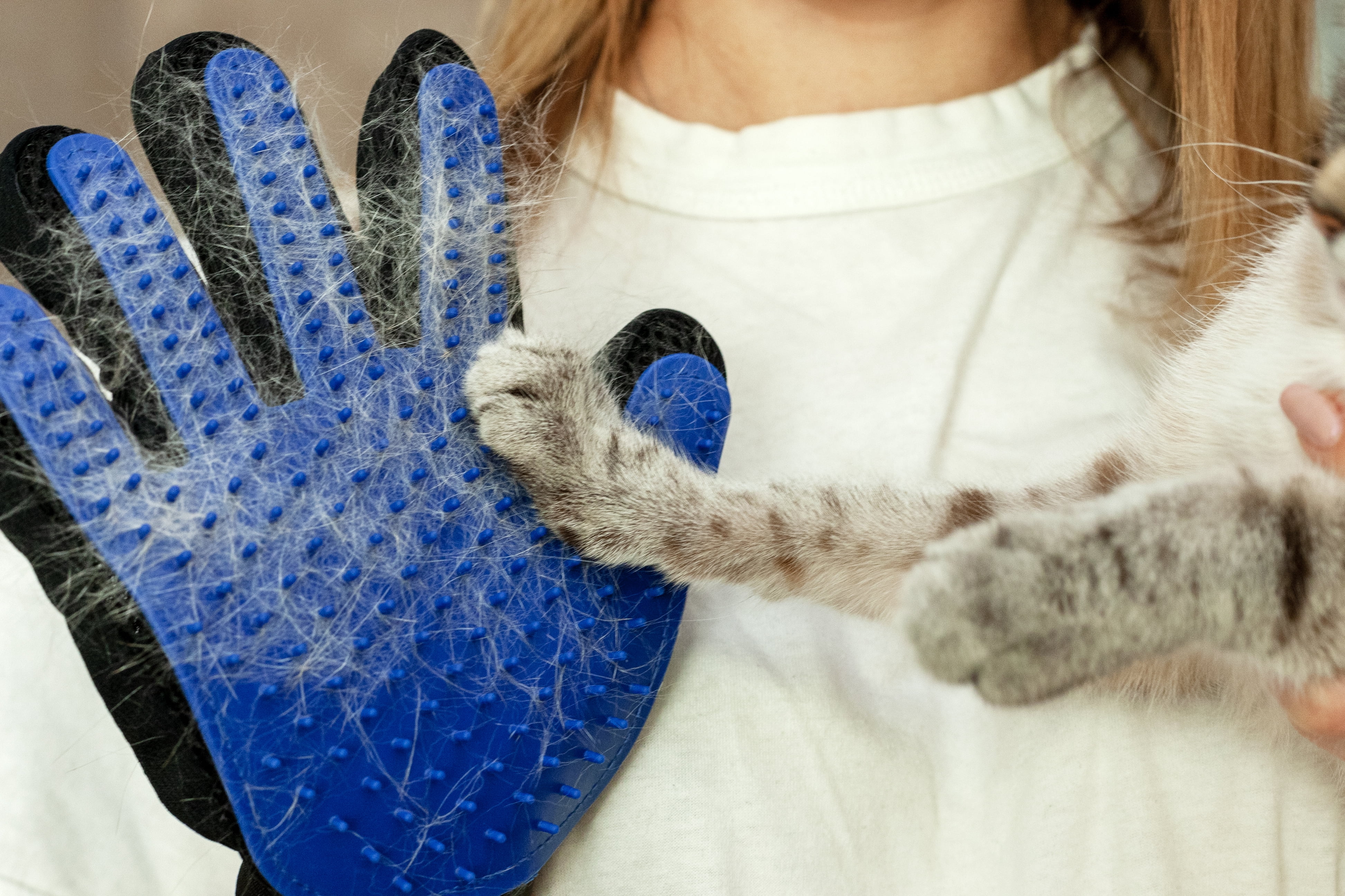 Pet Grooming Gloves (Blue) - Perfect Design for Grooming, Deshedding, Bathing & Massaging Your Dogs & Cats with Long/Short/Curly Fur 1 Pair (Right & Left) 4 4b9211d8 dc39 43d4 9691 163d264349f7.5b43df1a548b66d0d345205b92cf8388 - easyishop.co.uk