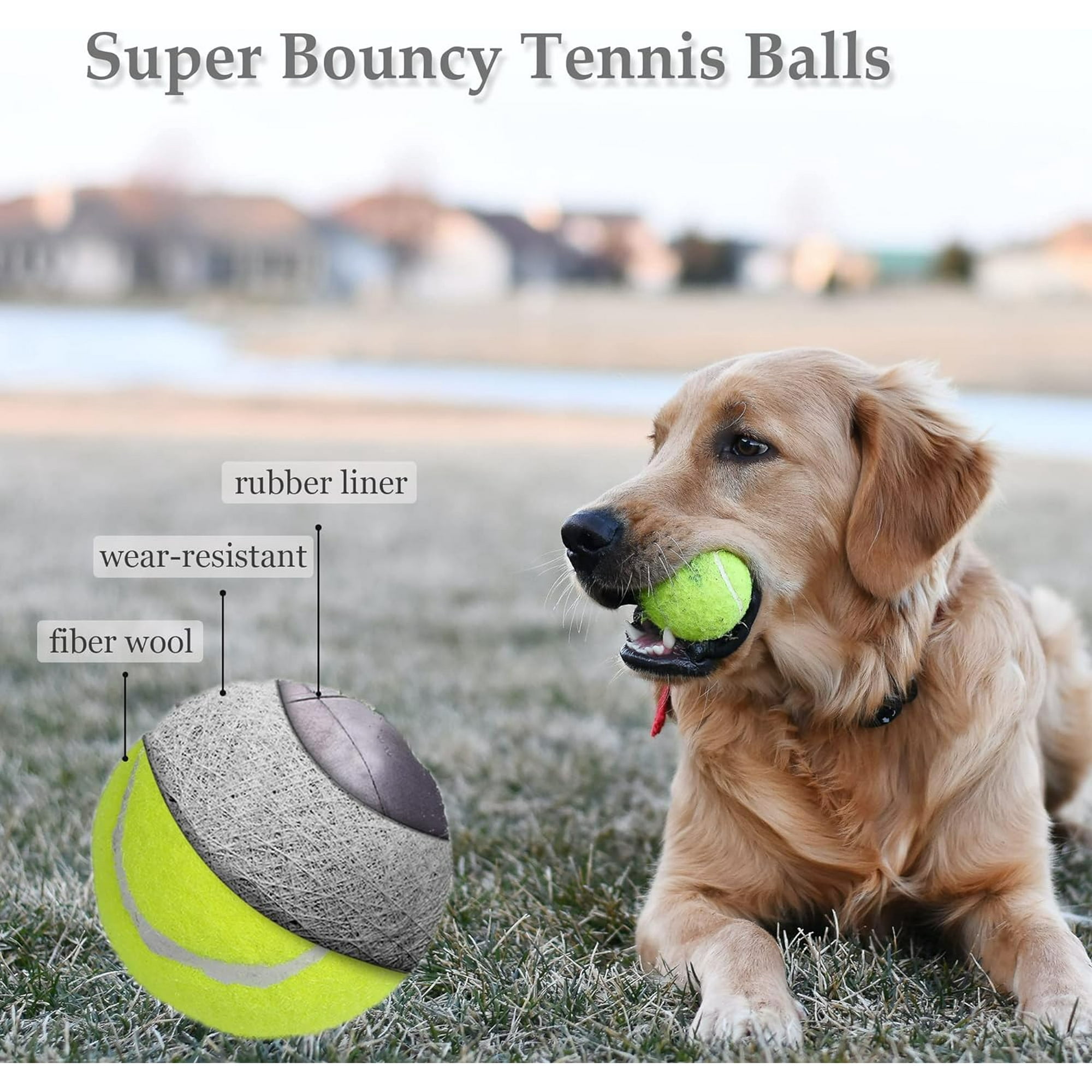 Ball Thrower for Dogs,Interactive dog fetch machine,Automatic Tennis Ball Launcher with 12 Tennis Balls,Dog Ball Thrower Machine with 10-30Ft 3 Launching Distance,for Small Dogs Indoor & Outdoor 16 4be2dd8f 8116 4d7e 89ee 84379ca1732e.d5b1d595ffed68deca7d9d1729177357 - easyishop.co.uk