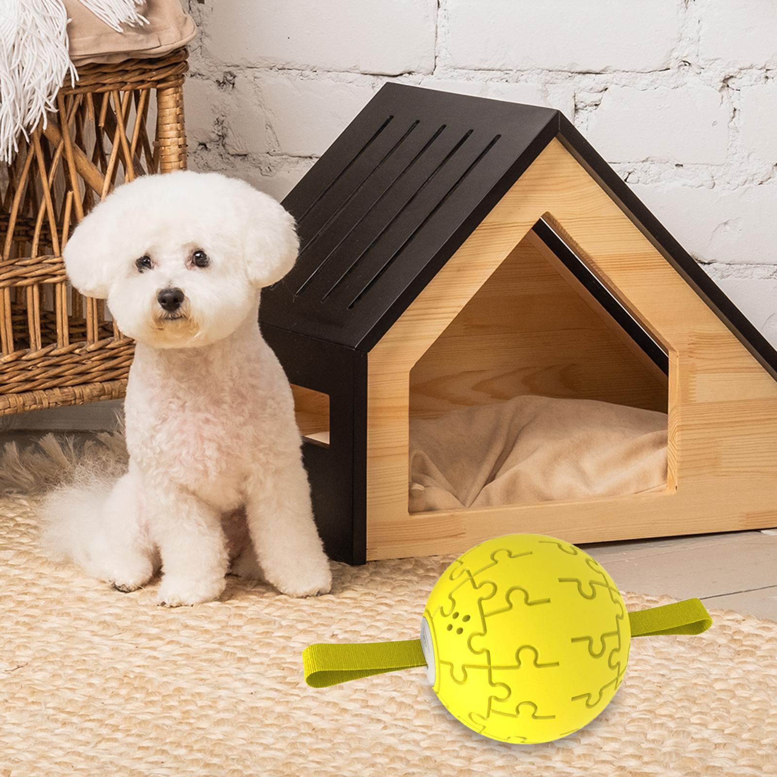 Squeaky Dog Chew Toy, Interactive Dog Toys Ball Training, Treat Dispenser Squeak Dog Toy for Running Playing Chewing Aggressive Chewers 8 4cc89955 c823 49ae b633 7ac36c403db4.3ee5d5712fea0b8470a38e6d31d6034e - easyishop.co.uk