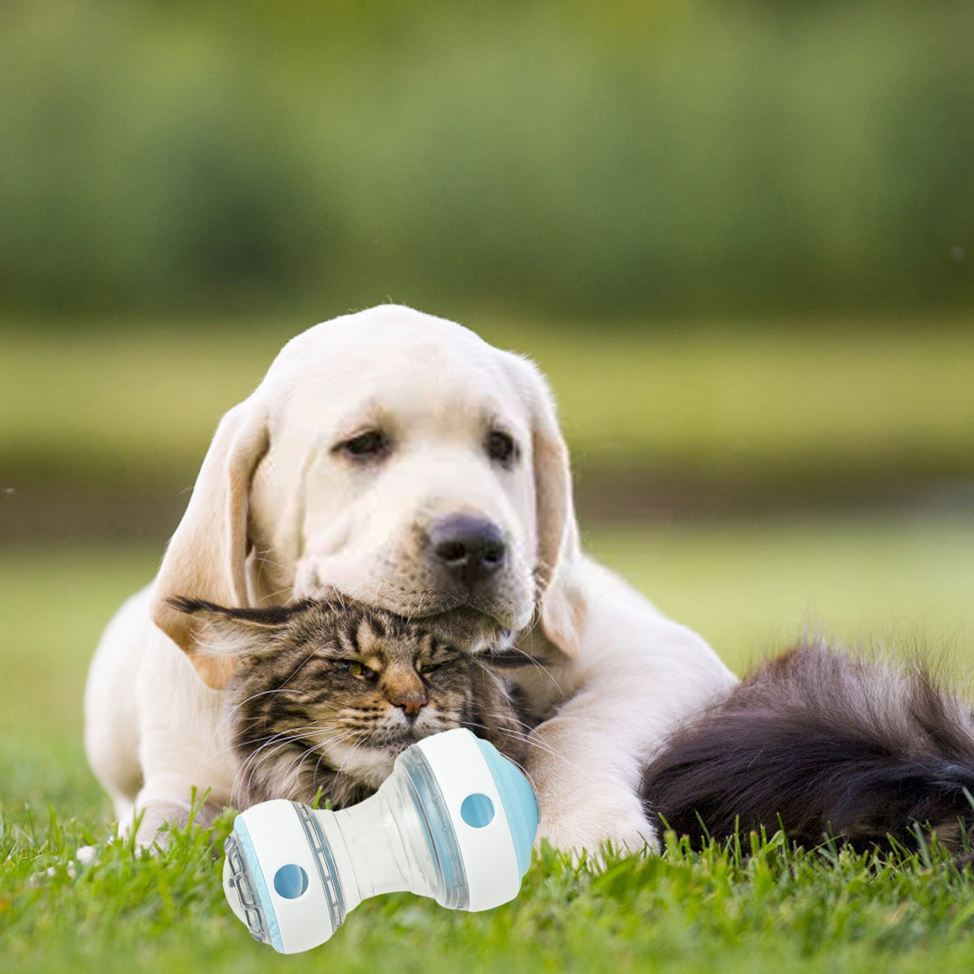 Treat Puzzle Toys for Dogs Bite-Resistant Leaking Food Rotating Dog Treat Dispenser Ball Feeder 15 52b3a7a9 7026 437a ad32 6e0c3d6b93cd.5f412adaa4623f50caa68de84ab3f7d8 - easyishop.co.uk