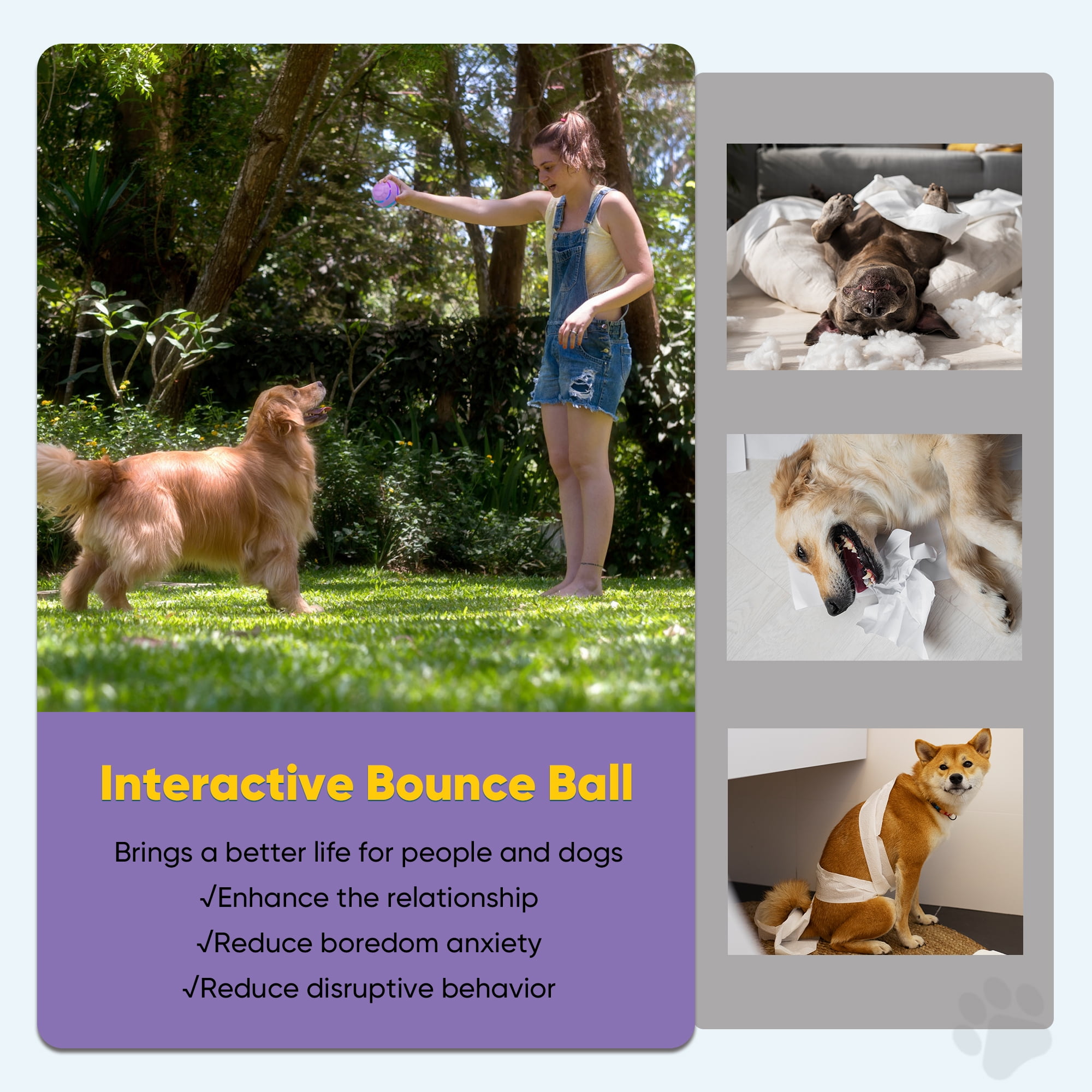 Petbobi Interactive Toy Dog Ball Moving Toys Ball for Dogs,Purple 8 52bd3ed6 060a 48c5 a7f7 43c1116b42b8.6a8f4eab55e0002511c11c1f1dfb220b - easyishop.co.uk