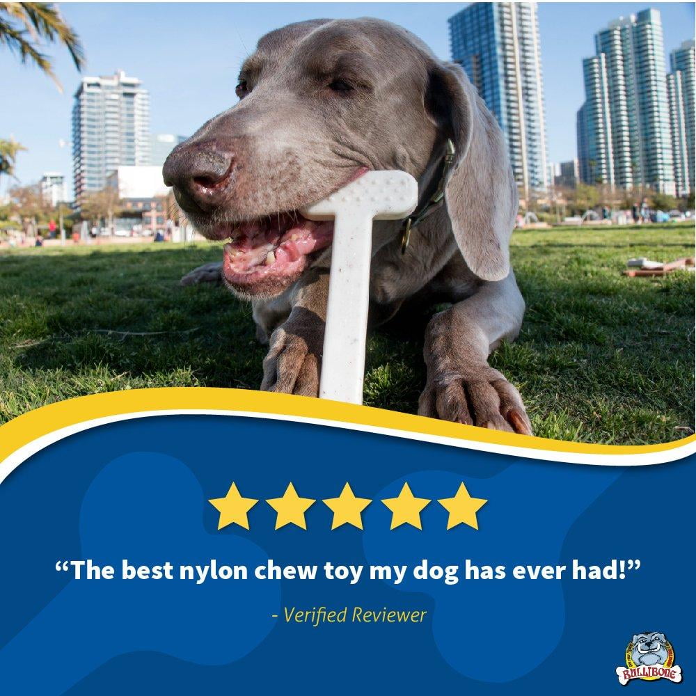 Bullibone Nylon Dog Chew Toy Nylon Bone - Improves Dental Hygiene, Easy to Grip Bottom, and Permeated with Flavor Bacon Small - 2 Pack 28 5621c337 b54d 4ca6 aaa4 a142d24f90d0.4066adb0b1cd1b5b089b03216910f2ec - easyishop.co.uk