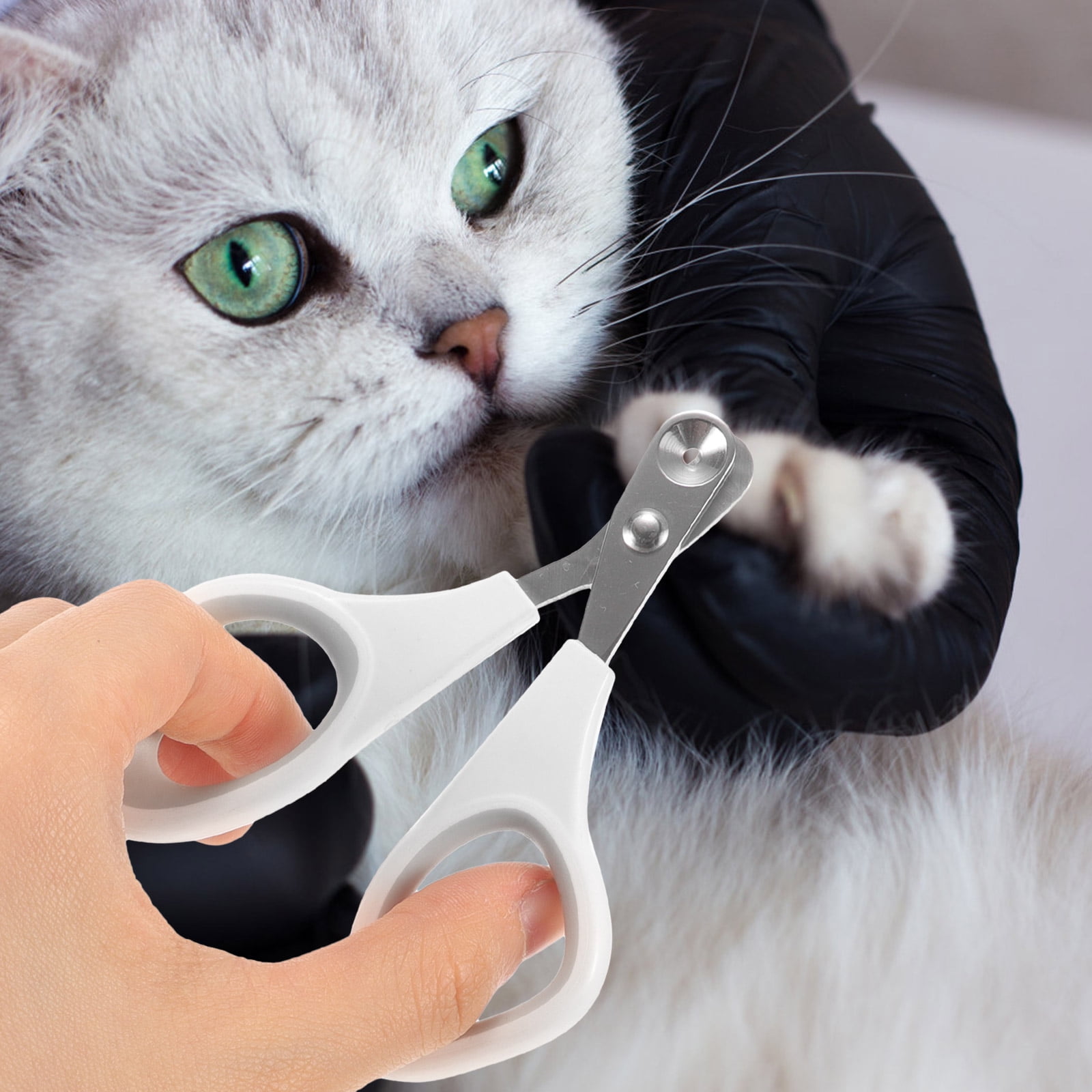 Pet Nail Clippers Dog for Large Dogs Trimmer Paw Household Grooming Tool Stainless Steel 2 56d12387 3ac0 4ba1 8df8 7d6c4f72d6a1.47c77efb2fcc6cdde0cac024c21f95d2 - easyishop.co.uk