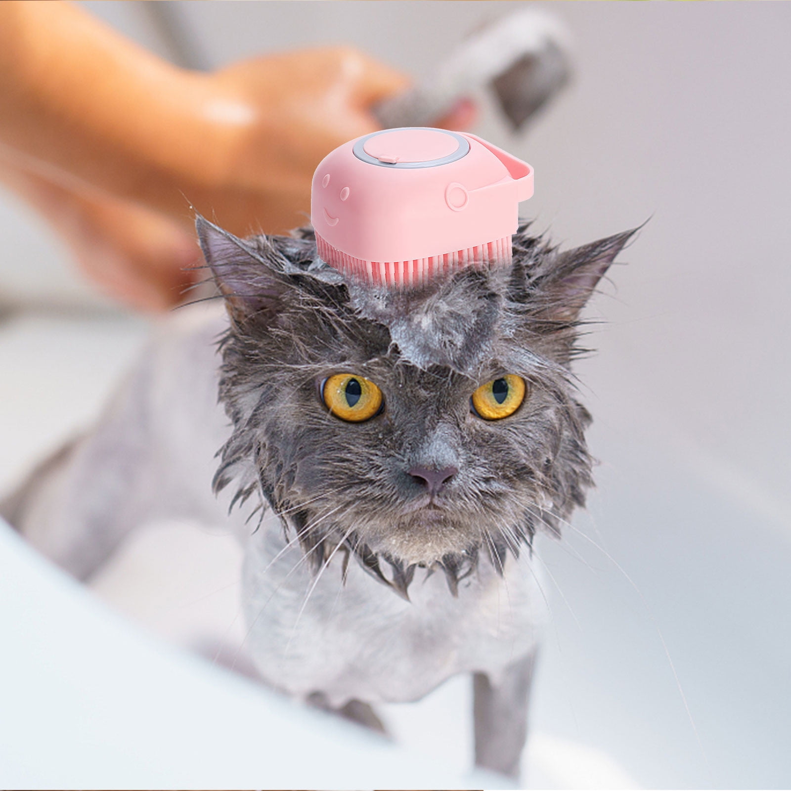 Kayannuo Christmas Clearance Soft Silicone Pet Take A Bath Rub Back And Shampoo Brush Shampoo Massage Dispenser Grooming Shower Brush 14 5716593d a042 4d7c 8952 303fa1e1a0dd.aed276302b249844be012bcd53c34560 - easyishop.co.uk