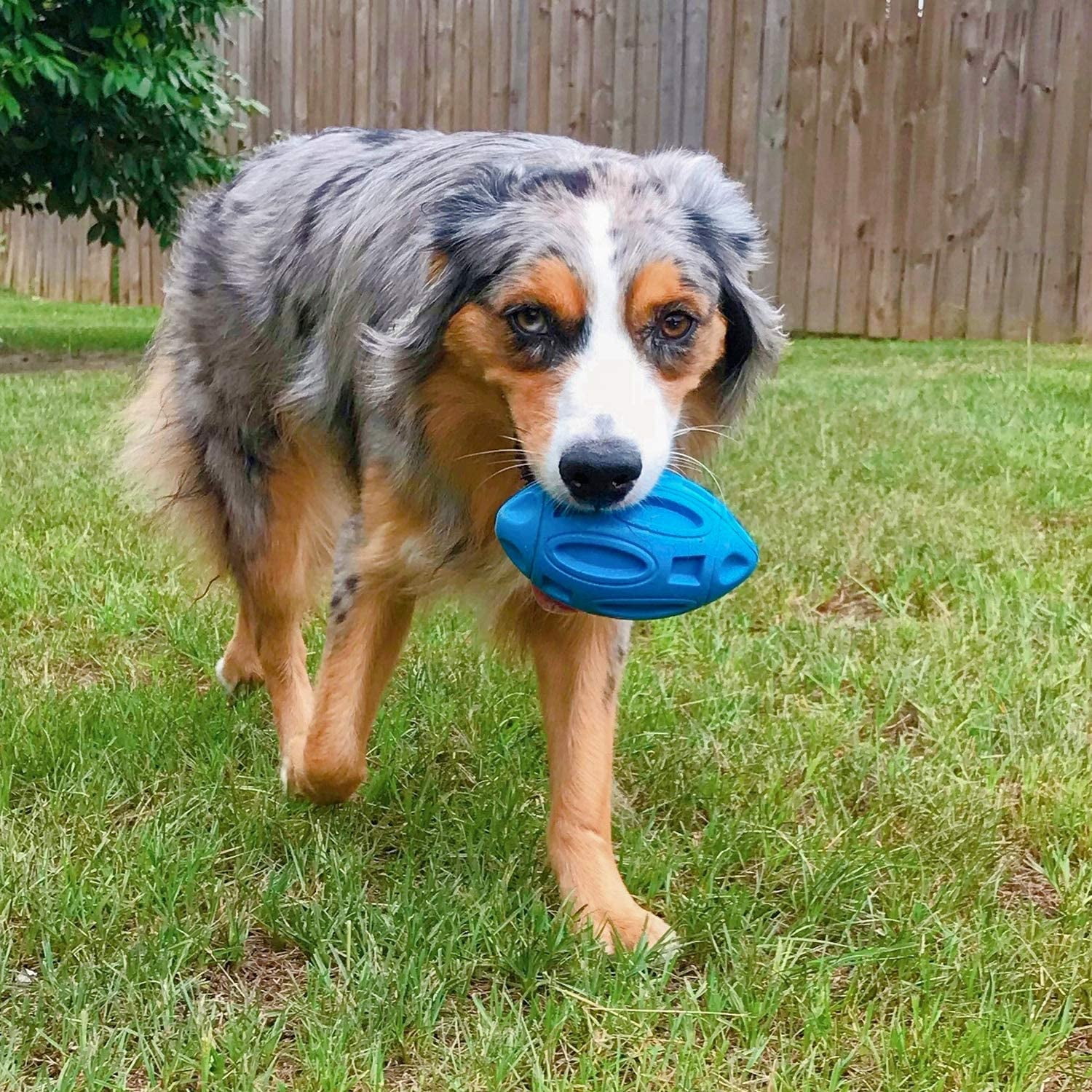 Squeaky Dog Ball Toys for Aggressive Chewers Indestructible Durable Tough Big Dogs Chew Toys Floatable Rubber Interactive Pet Toys for Medium &Large Breeds Dog, Green 13 58f52356 3a76 41f9 ab12 3ab2c31308b3.6af76ea1d4aa4b654dd734cfb97a449d - easyishop.co.uk