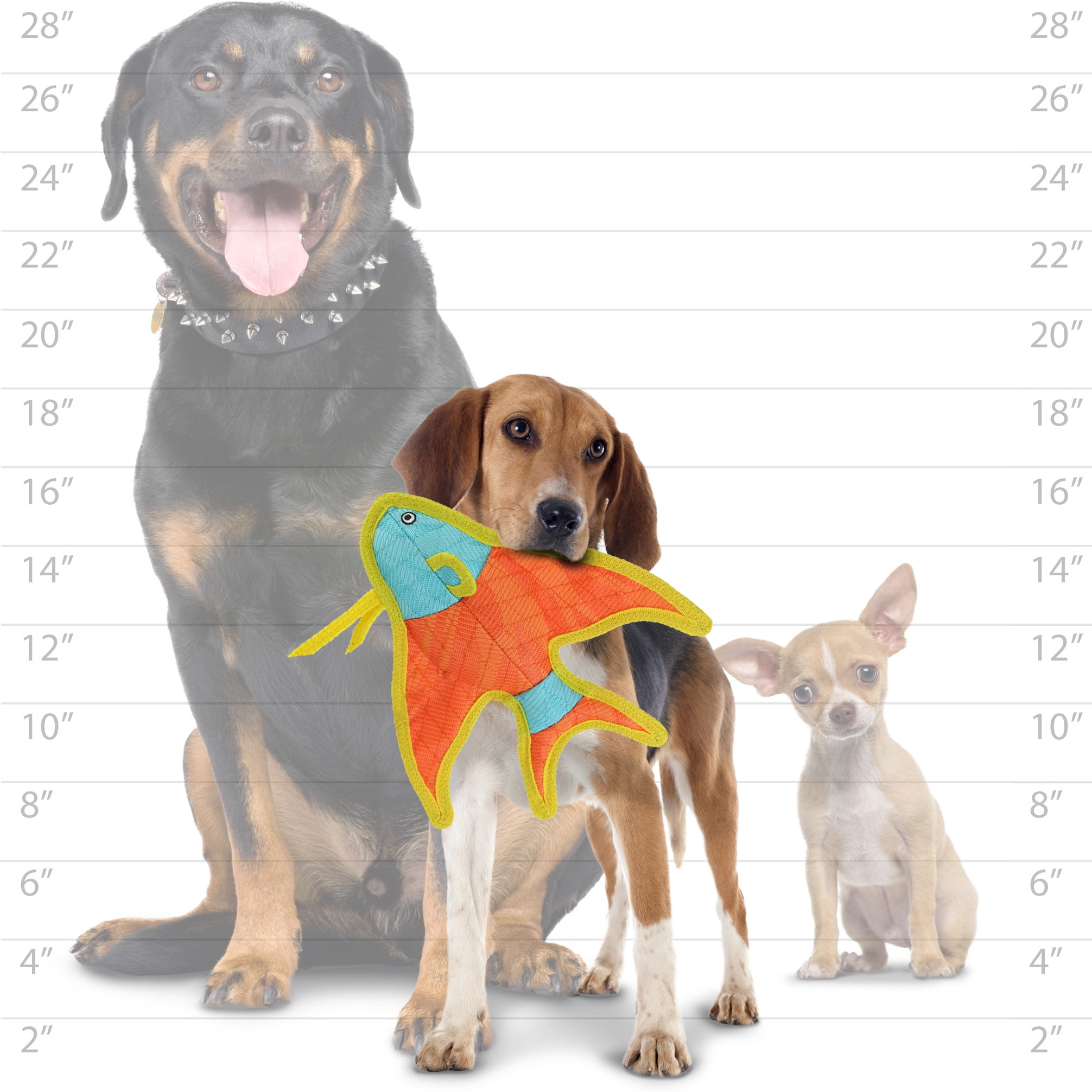 DuraForce® - Angel Fish- Durable Woven Fiber - Squeakers - Multiple Layers. Made Durable, Strong & Tough. Interactive Play (Tug, Toss & Fetch). Machine Washable & Floats 6 5a98edd3 7516 48d6 a666 47b29dceeb65.55ea4b36c7f95ba33e58449b1a20d020 - easyishop.co.uk