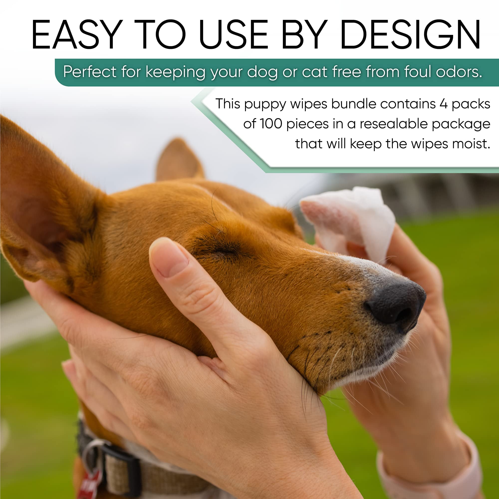 MagiCare Clean & Groom Wipes for Dogs & Cats, Unscented - 100ct Pet Wipes for Paws, Ears, and Skin - Deodorizing and Gentle for Sensitive Skin, Made in USA 11 5b6b677c 3a67 4c2c ad76 be47b3c119e5.4bcfe91f34806bd2fd988892d164cf7e - easyishop.co.uk