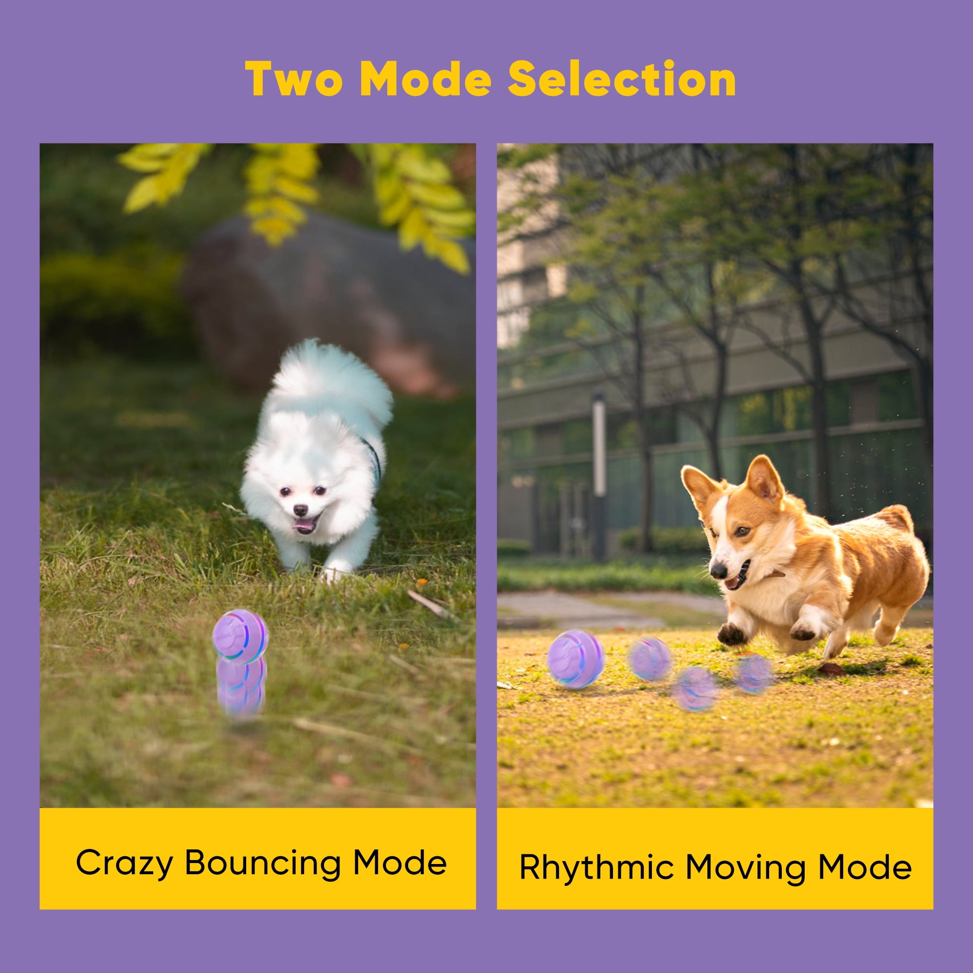 Petbobi Interactive Toy Dog Ball Moving Toys Ball for Dogs,Purple 7 5bd23036 6596 45d0 8d8a fcc9378edaad.85df9b3a31af9530c636812a4f64fc7b - easyishop.co.uk