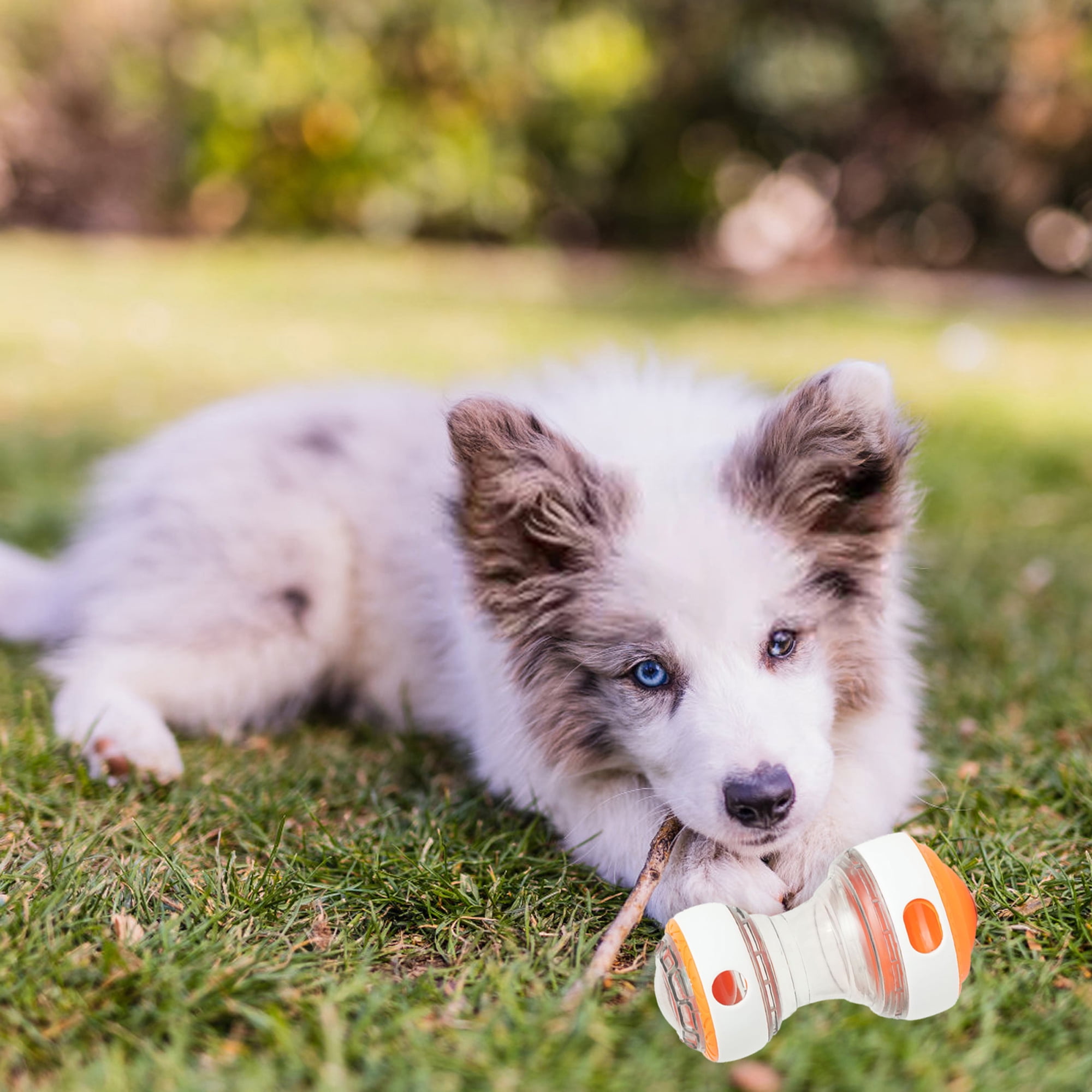 Treat Puzzle Toys for Dogs Bite-Resistant Leaking Food Rotating Dog Treat Dispenser Ball Feeder 5 5c481398 9534 47ce a495 2baf872dbd9f.0570897c71561cb0f1c1505c8d9973c8 - easyishop.co.uk