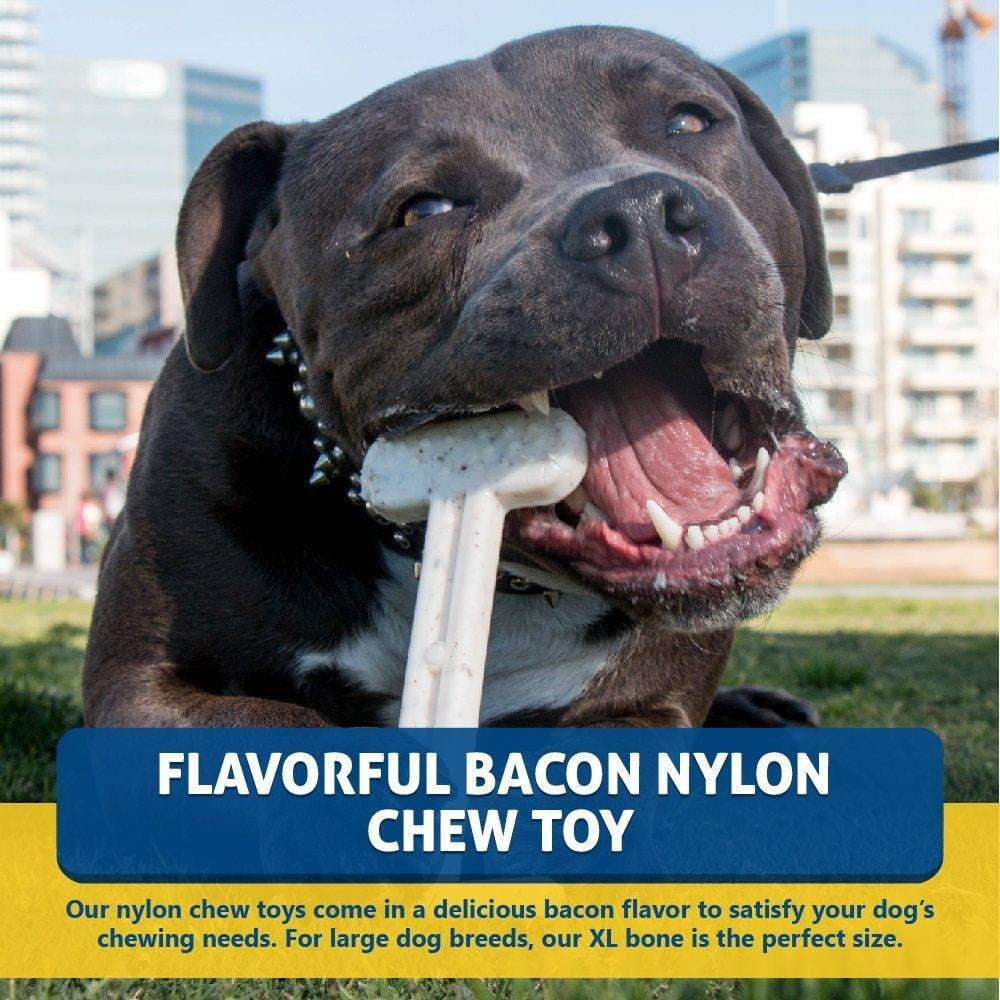 Bullibone Nylon Dog Chew Toy Nylon Bone - Improves Dental Hygiene, Easy to Grip Bottom, and Permeated with Flavor Bacon Small - 2 Pack 9 5dde4b80 a91f 493b 9e62 127eaba26cd9 1.001cb702ed2e5732f14c262ab5d91c5f - easyishop.co.uk