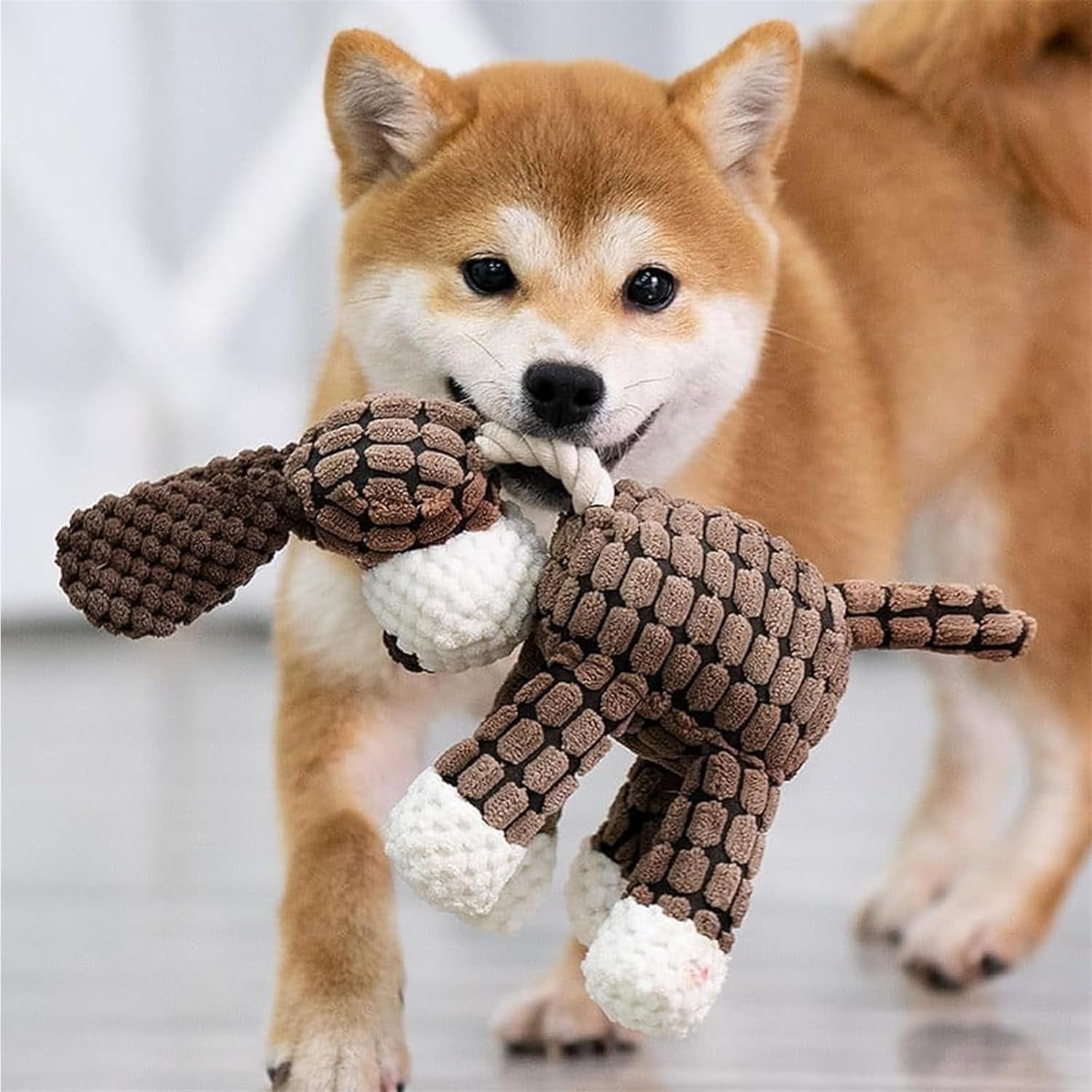 Vianys Bite Buddy, Vianys Bitebuddy, Shirem Bite Buddy, Rechol Bitebuddy, Resistant Squeaky Dog Toys for Heavy Chewers, 2024 New Indestructible Dog Toys 5 637c0b8d 534a 4aa8 a129 ae39771073ae.17275cec6802a8bd2f27d1c499b19cc7 - easyishop.co.uk