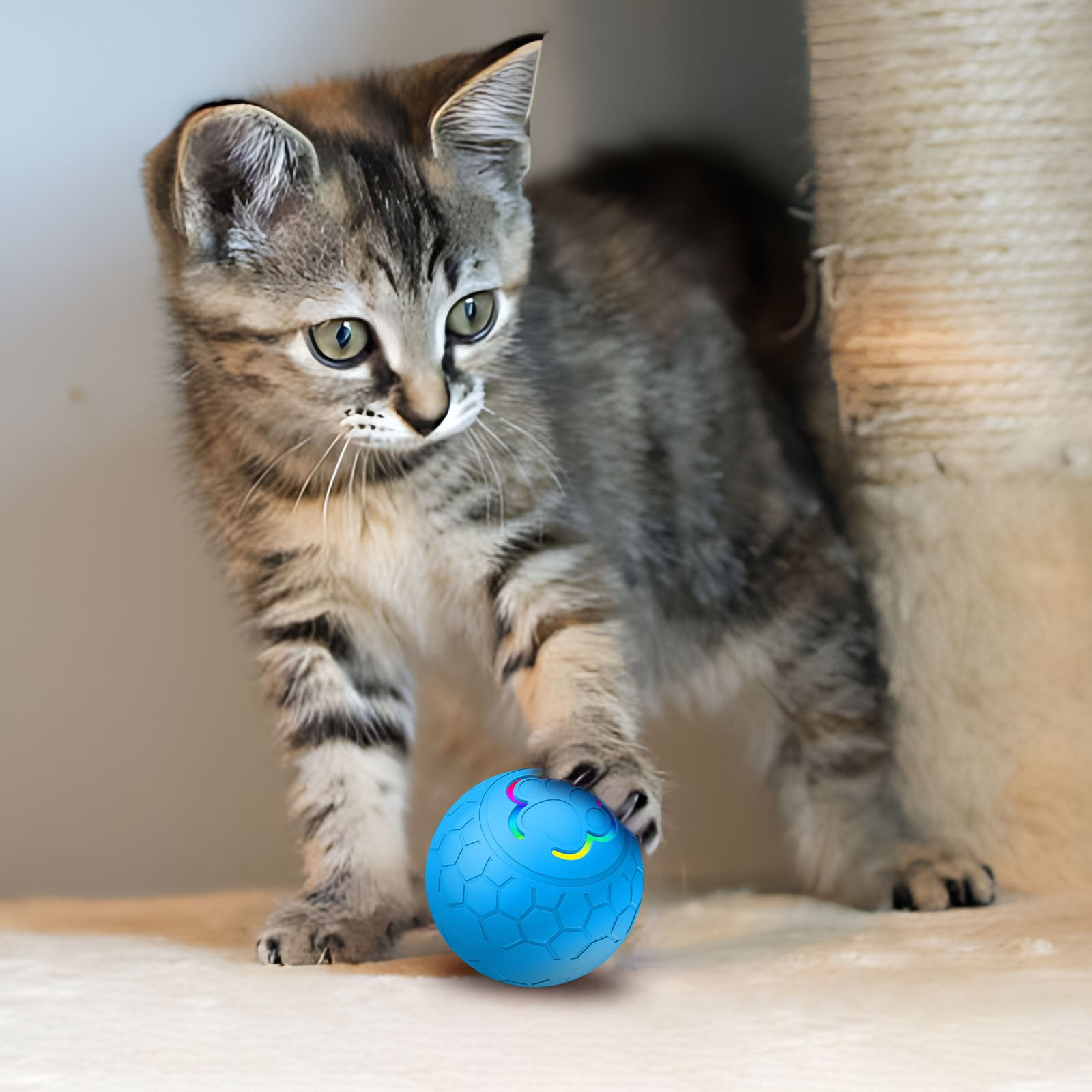 Qinghuai Peppy Pet Ball for Dogs, Dog Interactive Toys Dog Ball,Motion Activate Rolling Ball for Puppy/Small Dogs, Automatic Moving Dog Toy,USB Rechargeable 37 6501942e 6cb7 456a a7a4 4dea0f752ece.a9041f7d41b135c860dfb7f8373077ed - easyishop.co.uk