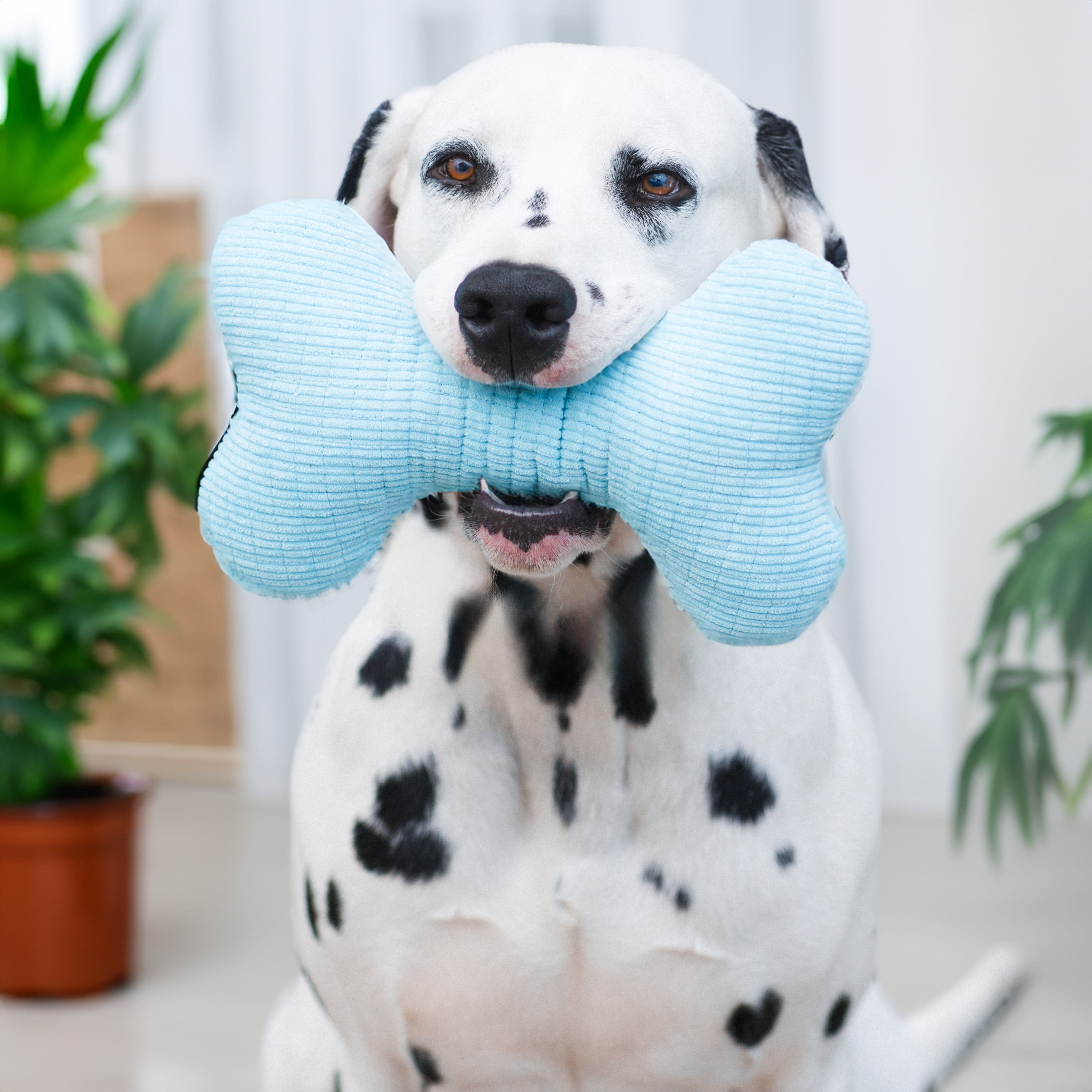 Playology Plush Squeaky Bone | Engaging All Natural Peanut Butter Scented Plush Dog Toy with Interactive Squeaker for Large to X-Large Dogs 50lbs & up | Easy to Clean | Squeak, Chew, Fetch, and Play! 3 6fa5780d 06ec 48ec ab62 fb19105f8a4f.4ee6e3c79e9cbaeb6fc4a10ffb6b8c6d - easyishop.co.uk