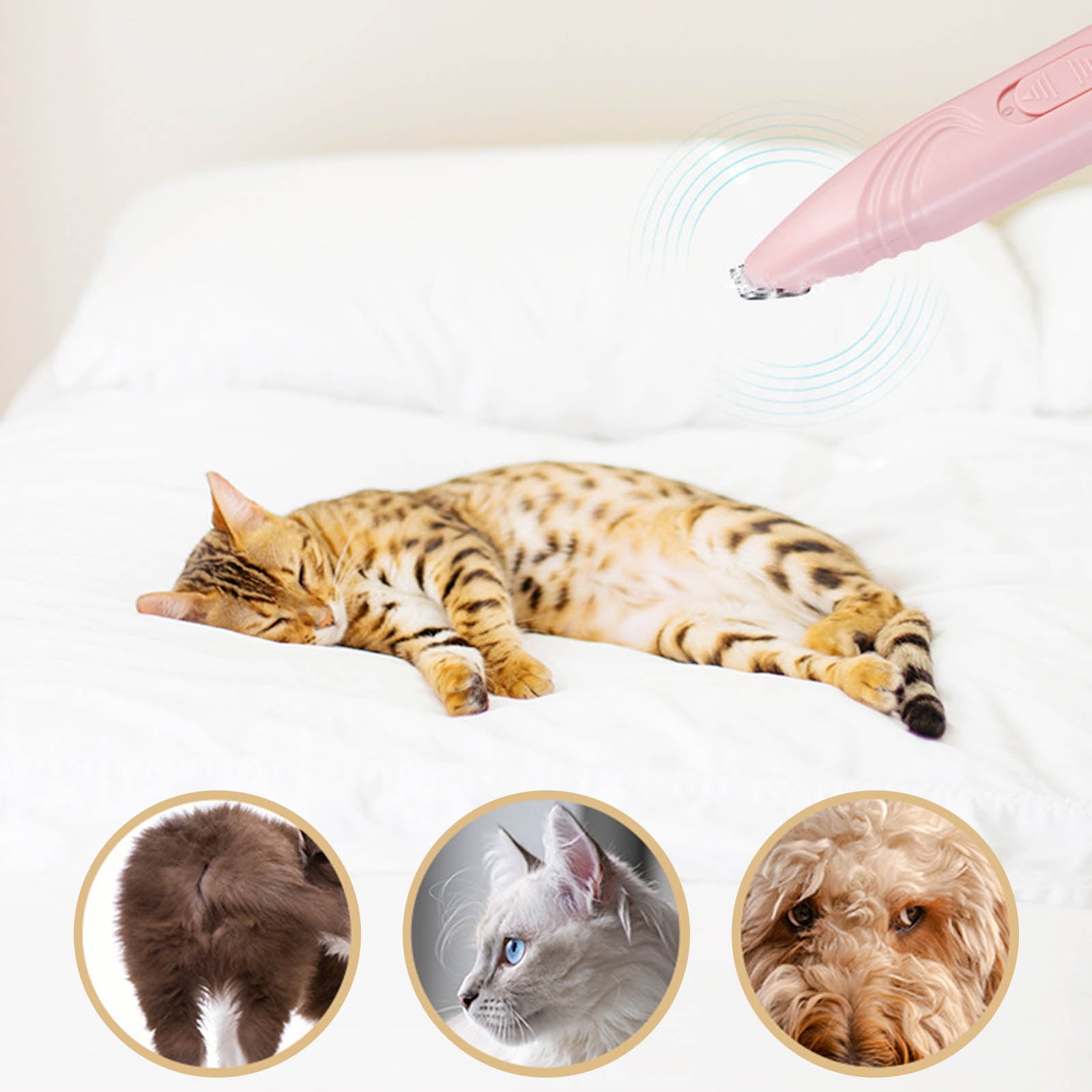 Dog Grooming Clippers Cordless Pet Paw Trimmer (Pink, Blue, White, Green) for Cat Feet Paw Shaver Low Noise Trimmer 5 7310d9fa fb6d 4372 a5e0 2fd2ed9bb7c4.8acfad2b85f52c2dc1290dcb4fe01a5b - easyishop.co.uk