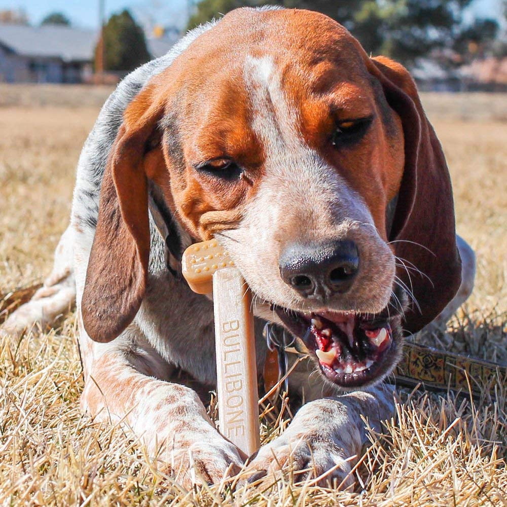 Bullibone Nylon Dog Chew Toy Nylon Bone - Improves Dental Hygiene, Easy to Grip Bottom, and Permeated with Flavor Bacon Small - 2 Pack 87 7624ff57 e63a 46e2 9249 21e9203e4f9b.7c51730a68b127cbbc449380e0450543 - easyishop.co.uk