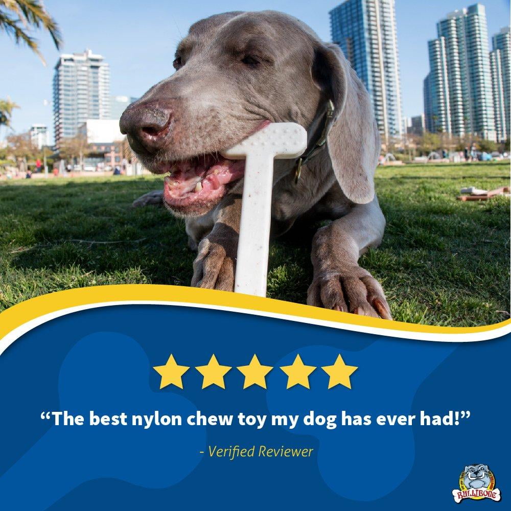 Bullibone Nylon Dog Chew Toy Nylon Bone - Improves Dental Hygiene, Easy to Grip Bottom, and Permeated with Flavor Bacon Small - 2 Pack 78 783960a6 3c23 46ec acb8 72651b721122.ec023ade3c61165edf7c2705291c2b8f - easyishop.co.uk